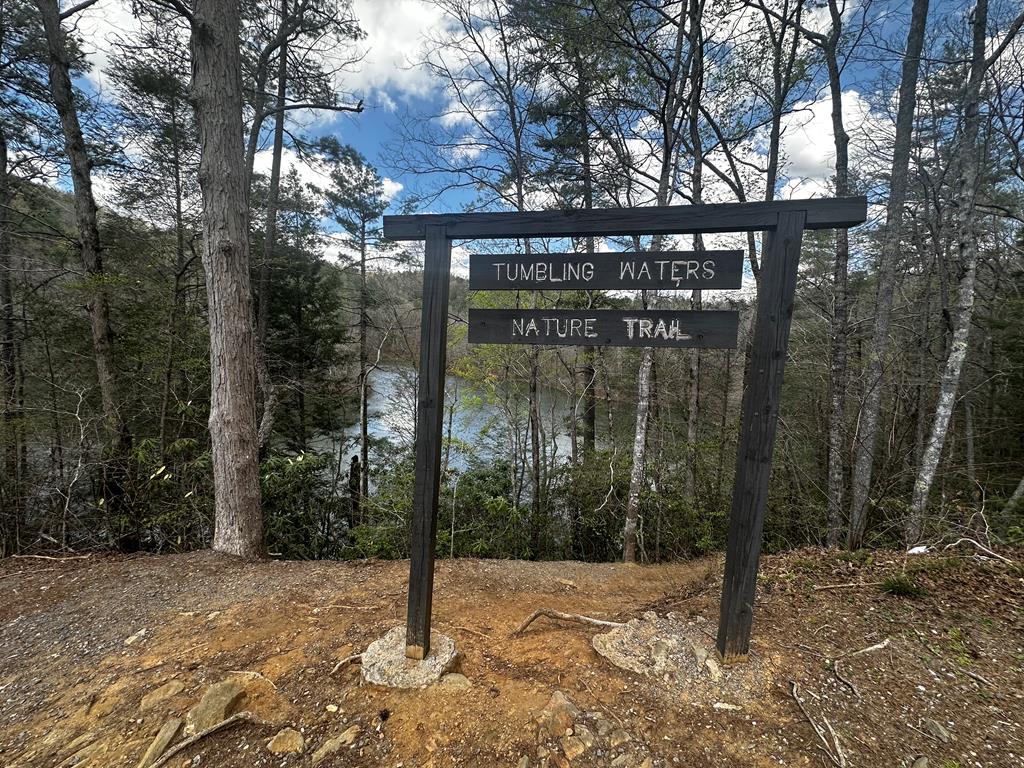 Ellijay, Georgia, 30540, United States, 3 Bedrooms Bedrooms, ,3 BathroomsBathrooms,Residential,For Sale,2003532