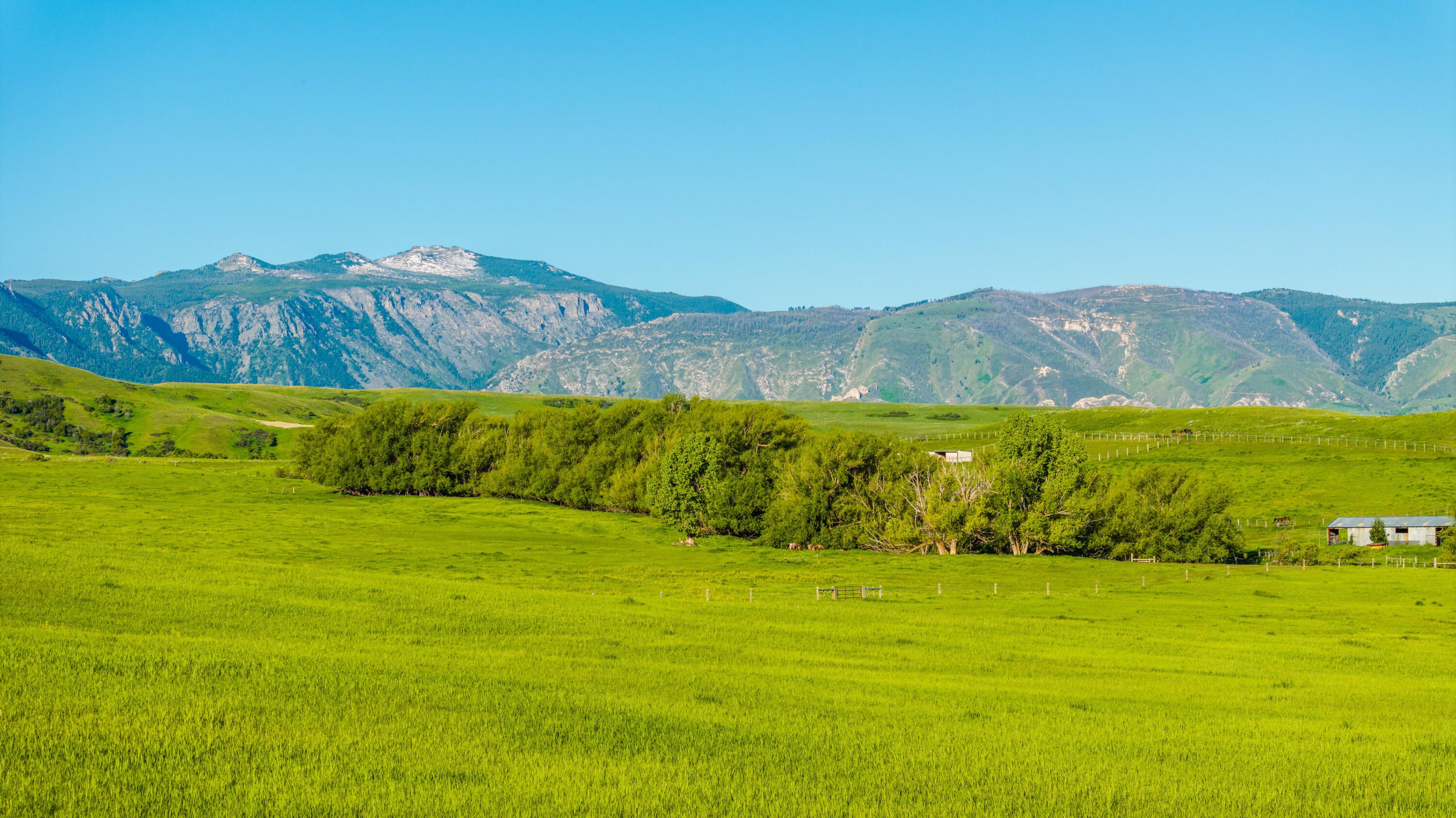 Big Horn, Wyoming, 82833, United States, ,Land,For Sale,2011311