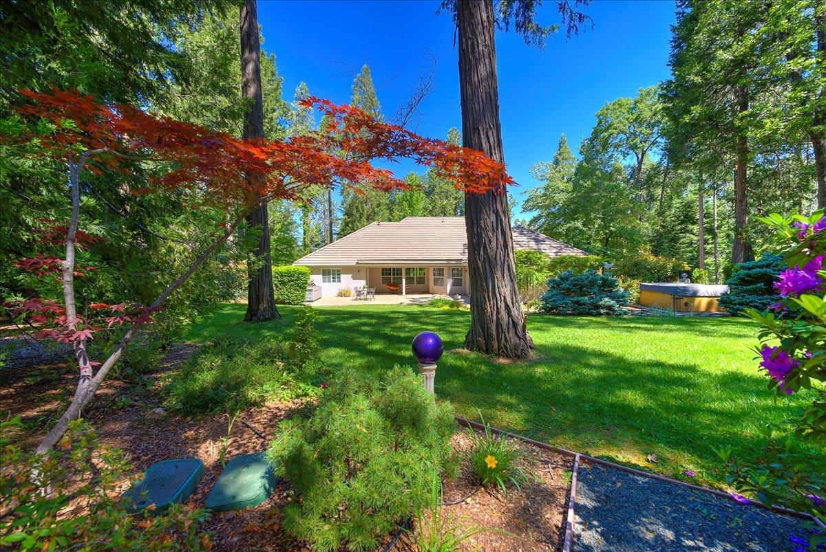 Grass Valley, California, 95945, United States, 4 Bedrooms Bedrooms, ,3 BathroomsBathrooms,Residential,For Sale,1831917