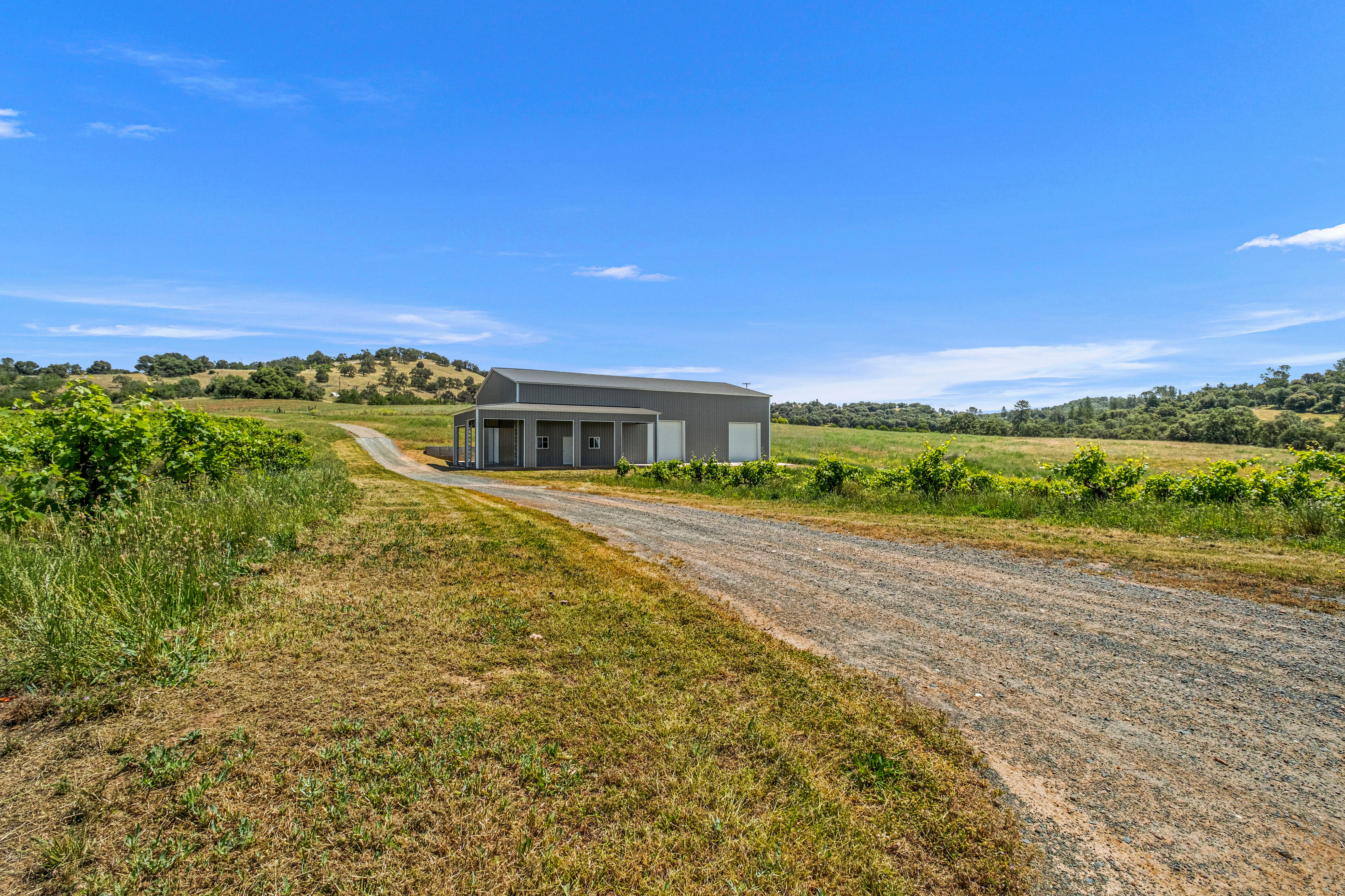  12200 Shenandoah Road, Plymouth, CA 95669 - 物件實景