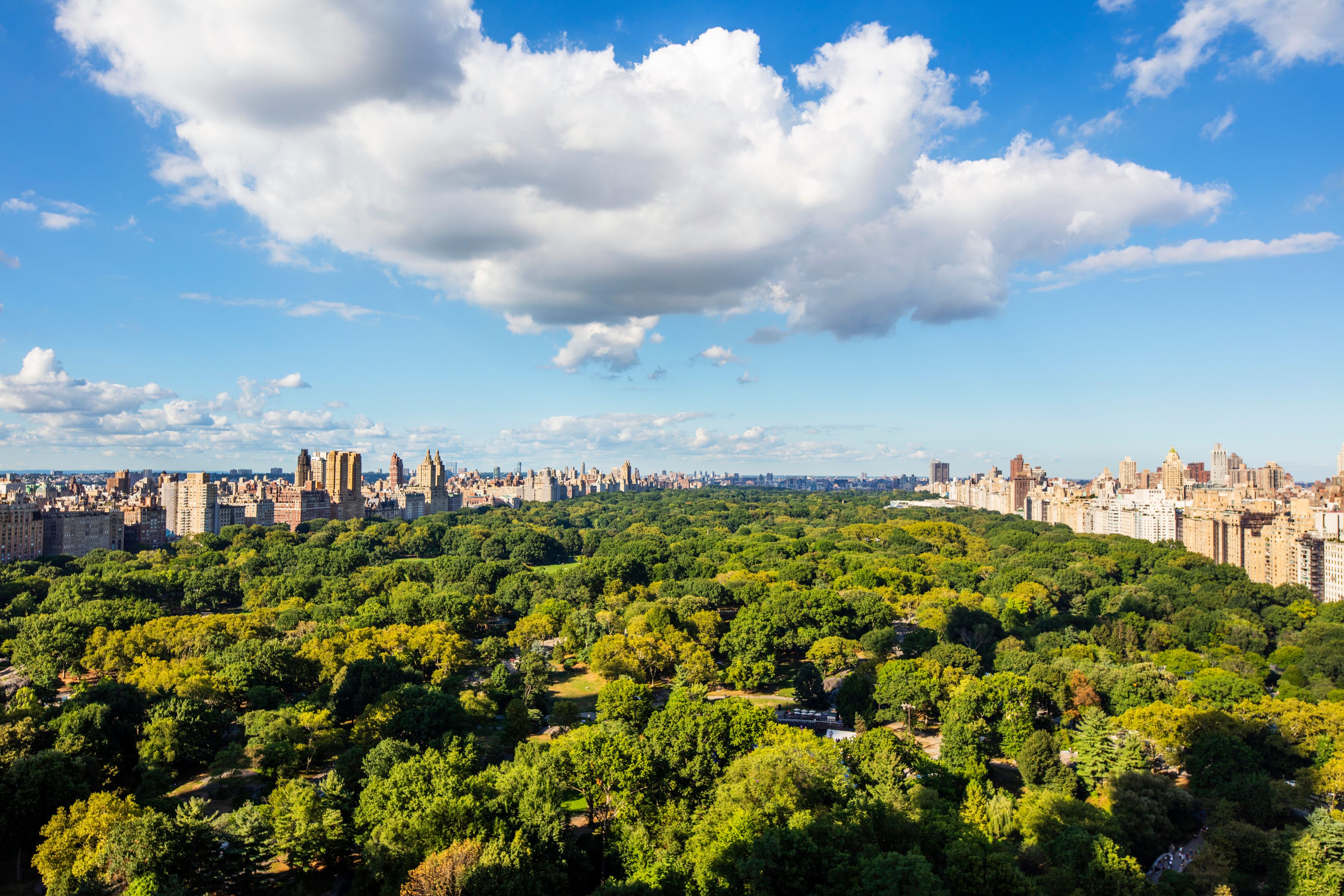 50 Central Park South 30/31