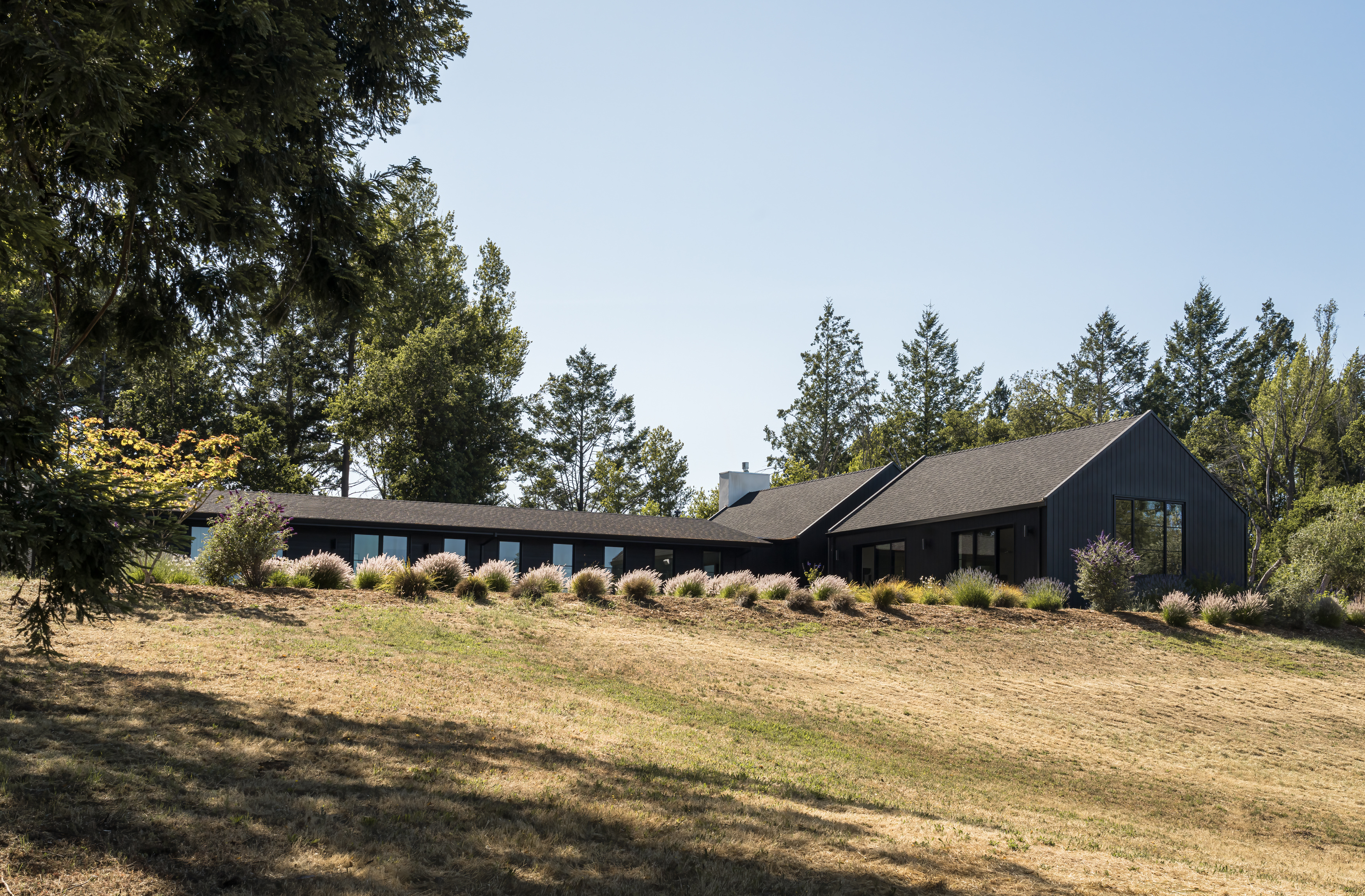  Bennett Valley Modern Estate - 物件實景