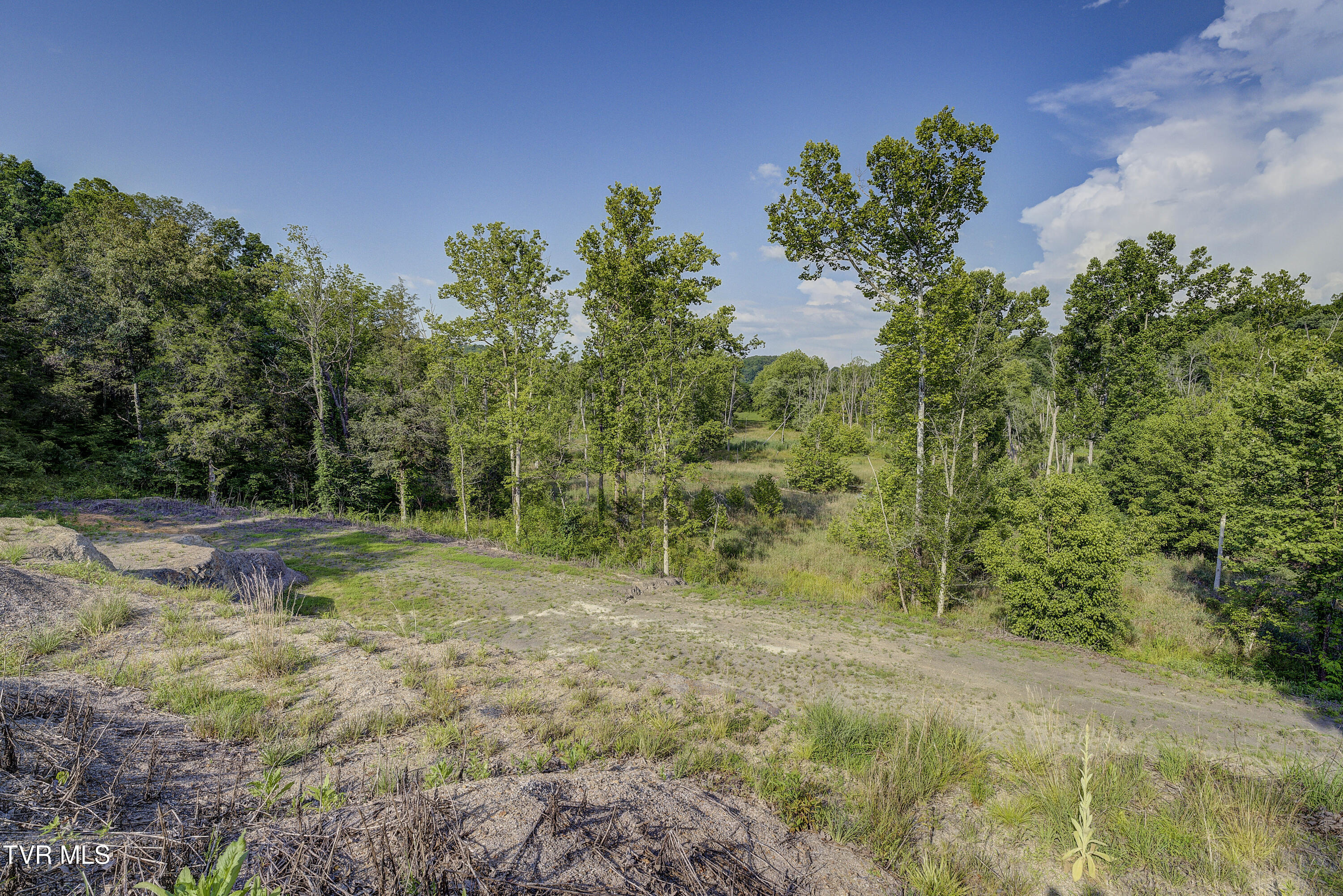 Piney Flats, Tennessee, 37686, United States, ,Land,For Sale,1983828