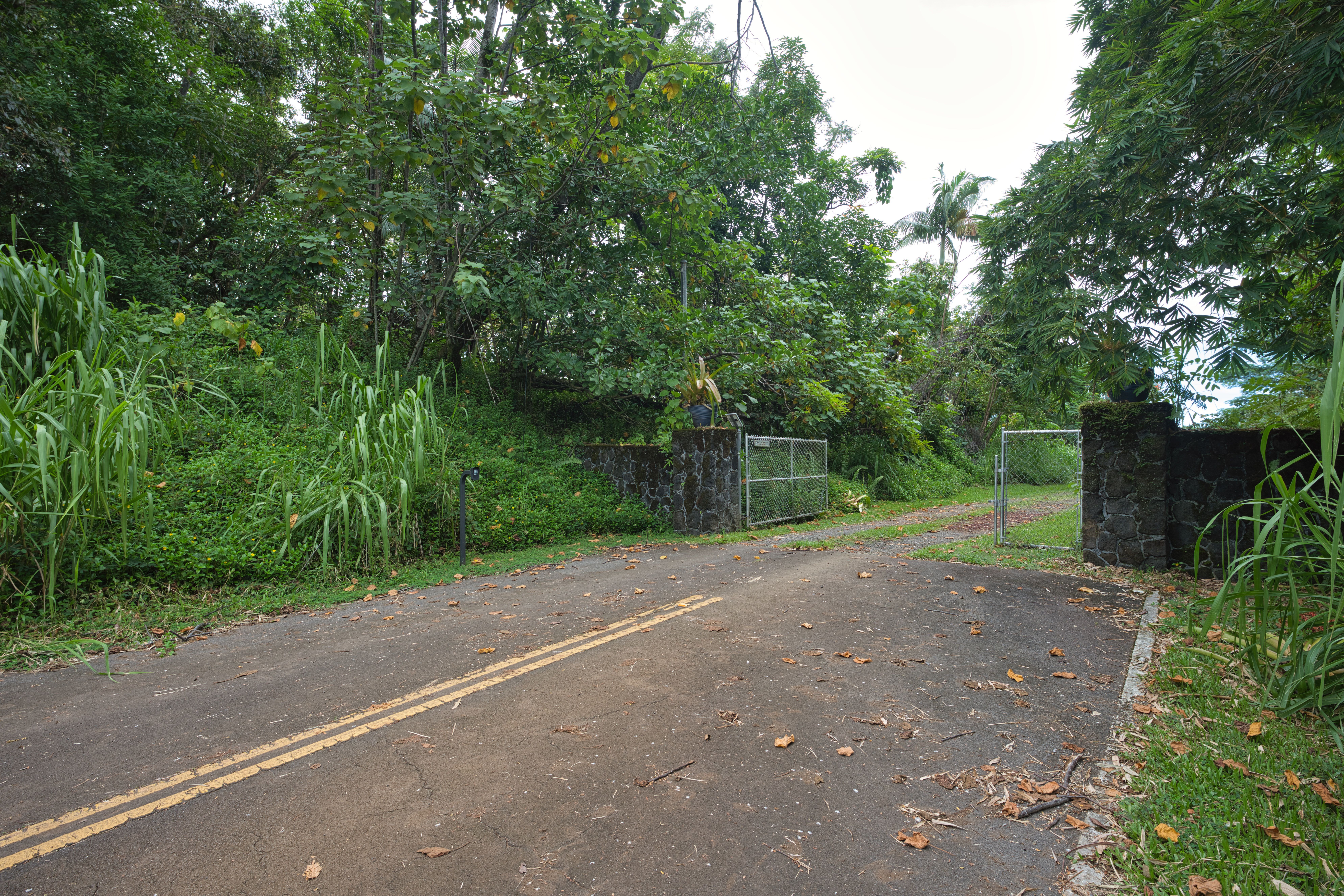  27-2430 Hawaii Belt Rd, Papaikou, HI, 96781 - 物件實景