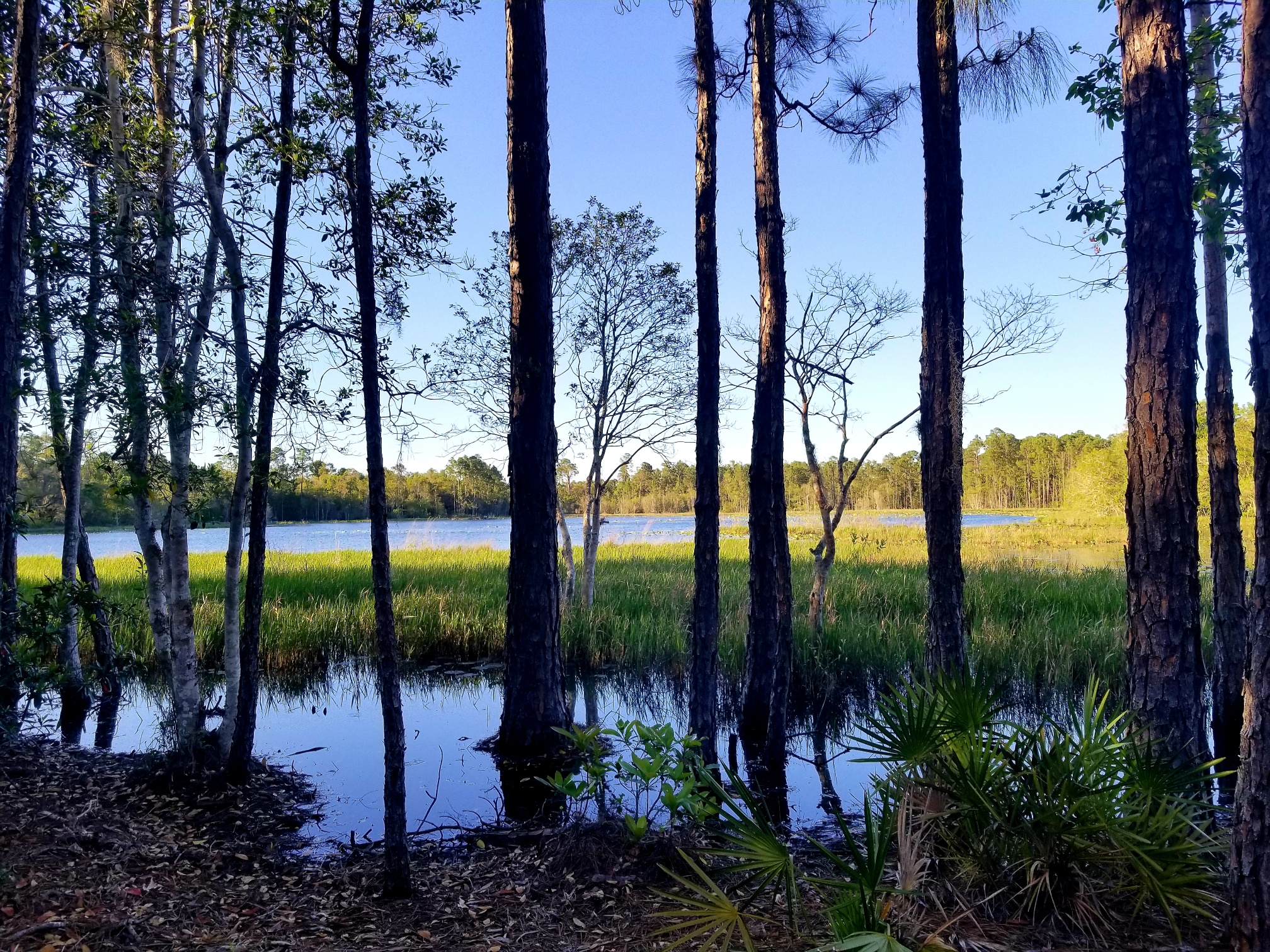 Crescent City, Florida, 32112, United States, 3 Bedrooms Bedrooms, ,Residential,For Sale,1943511