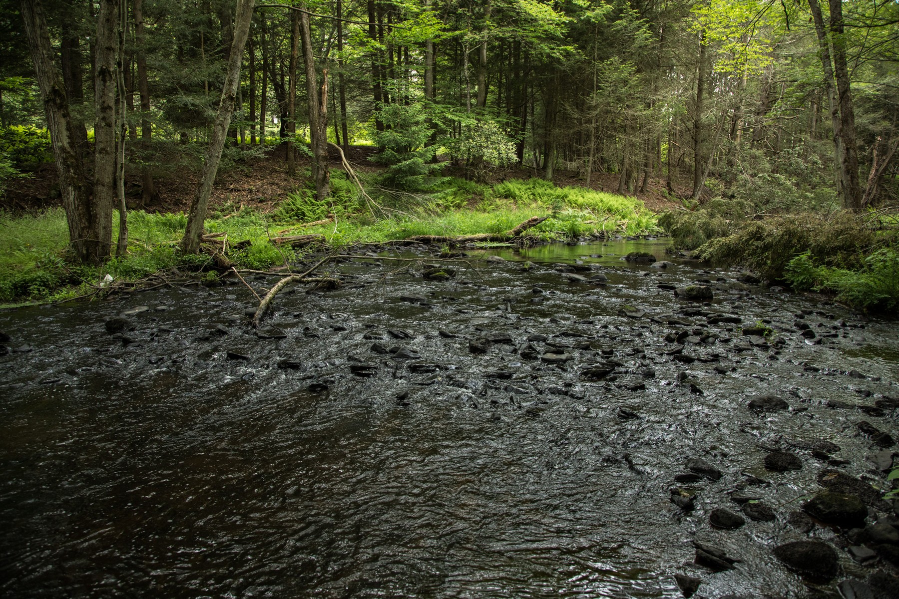  Stream Front Home Site at The Chapin Estate - 物件實景
