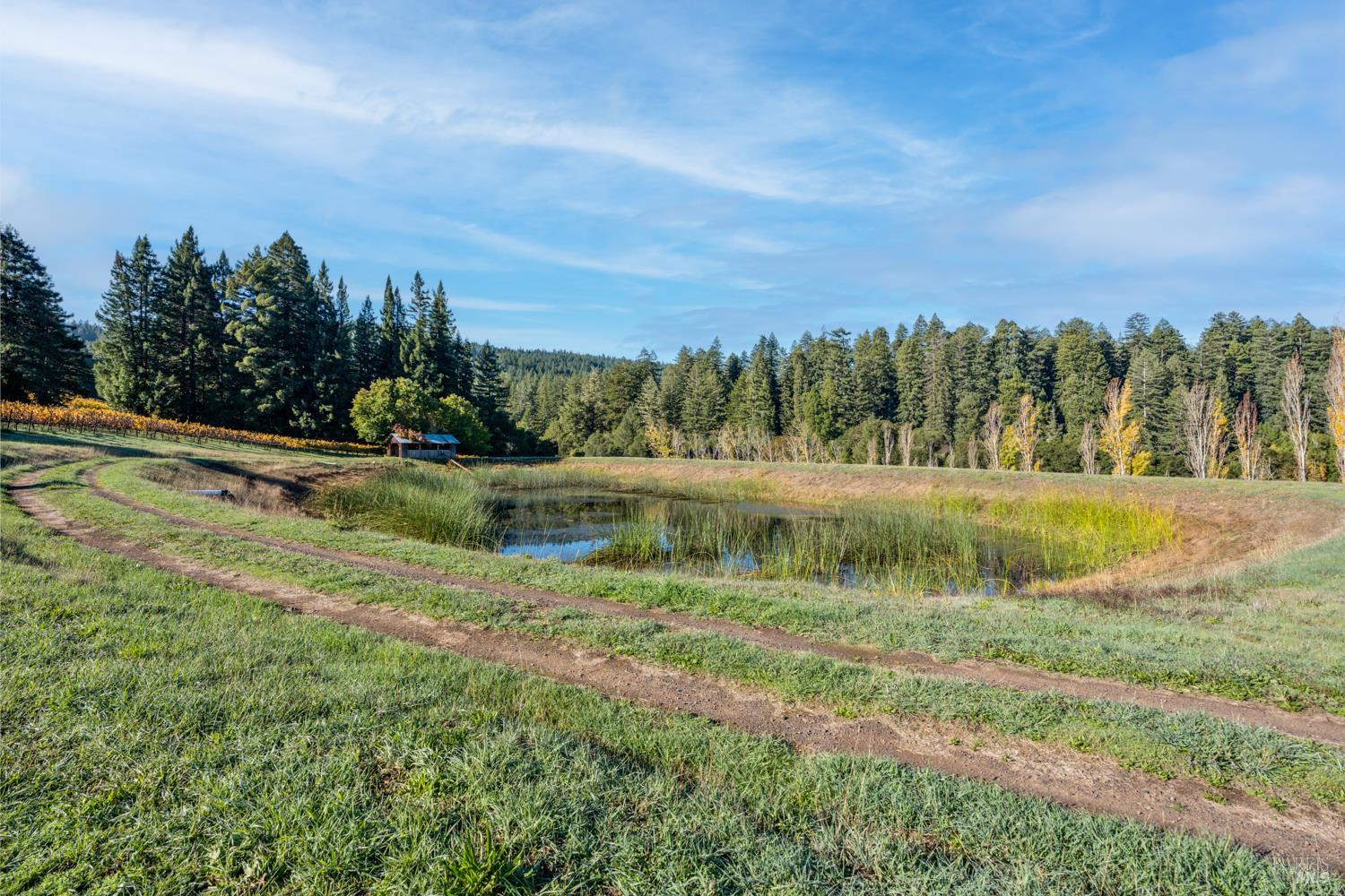 Philo, California, 95466, United States, 3 Bedrooms Bedrooms, ,3 BathroomsBathrooms,Residential,For Sale,1987364