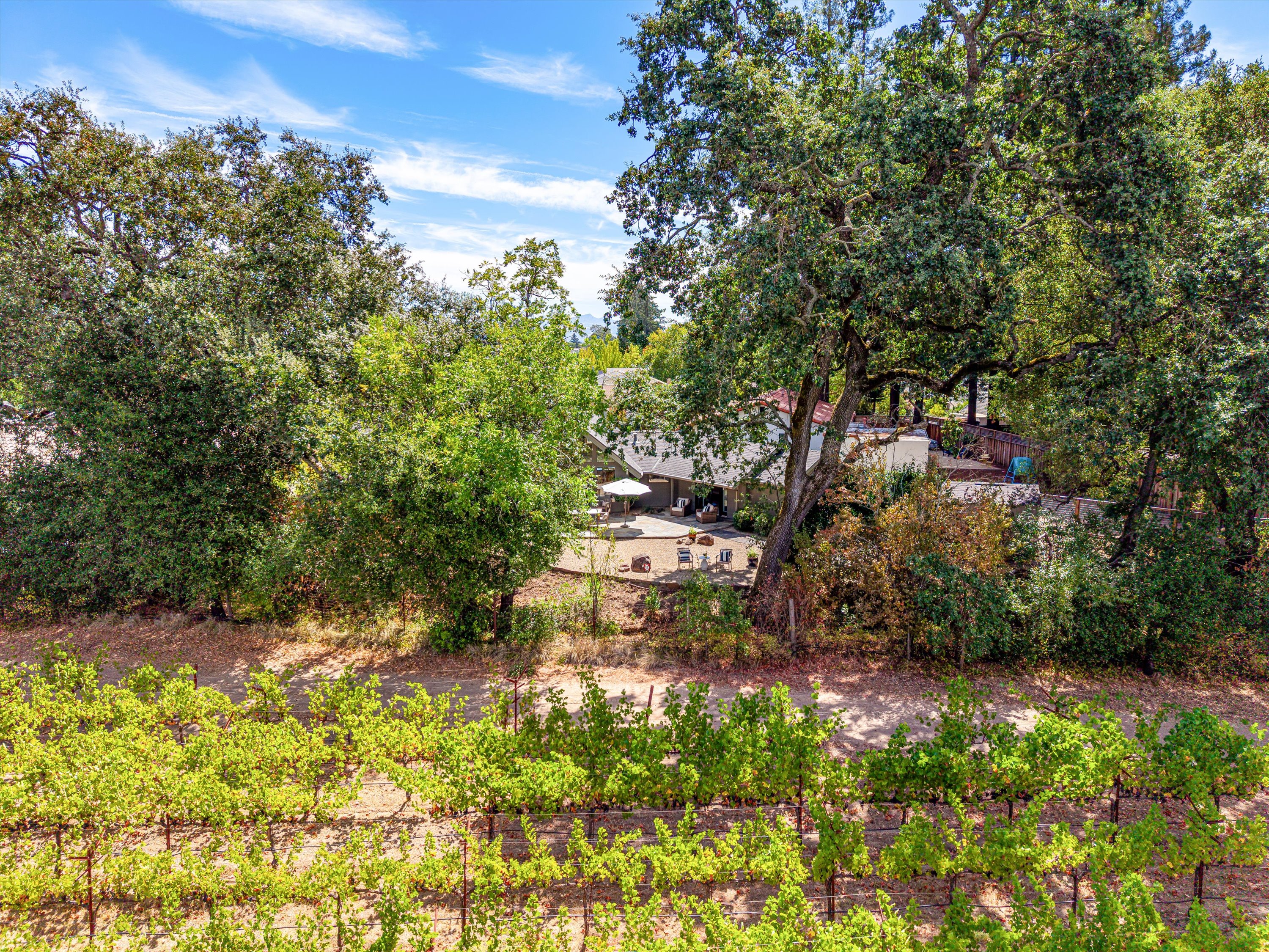  1261 Spring Brook Ct - 物件實景