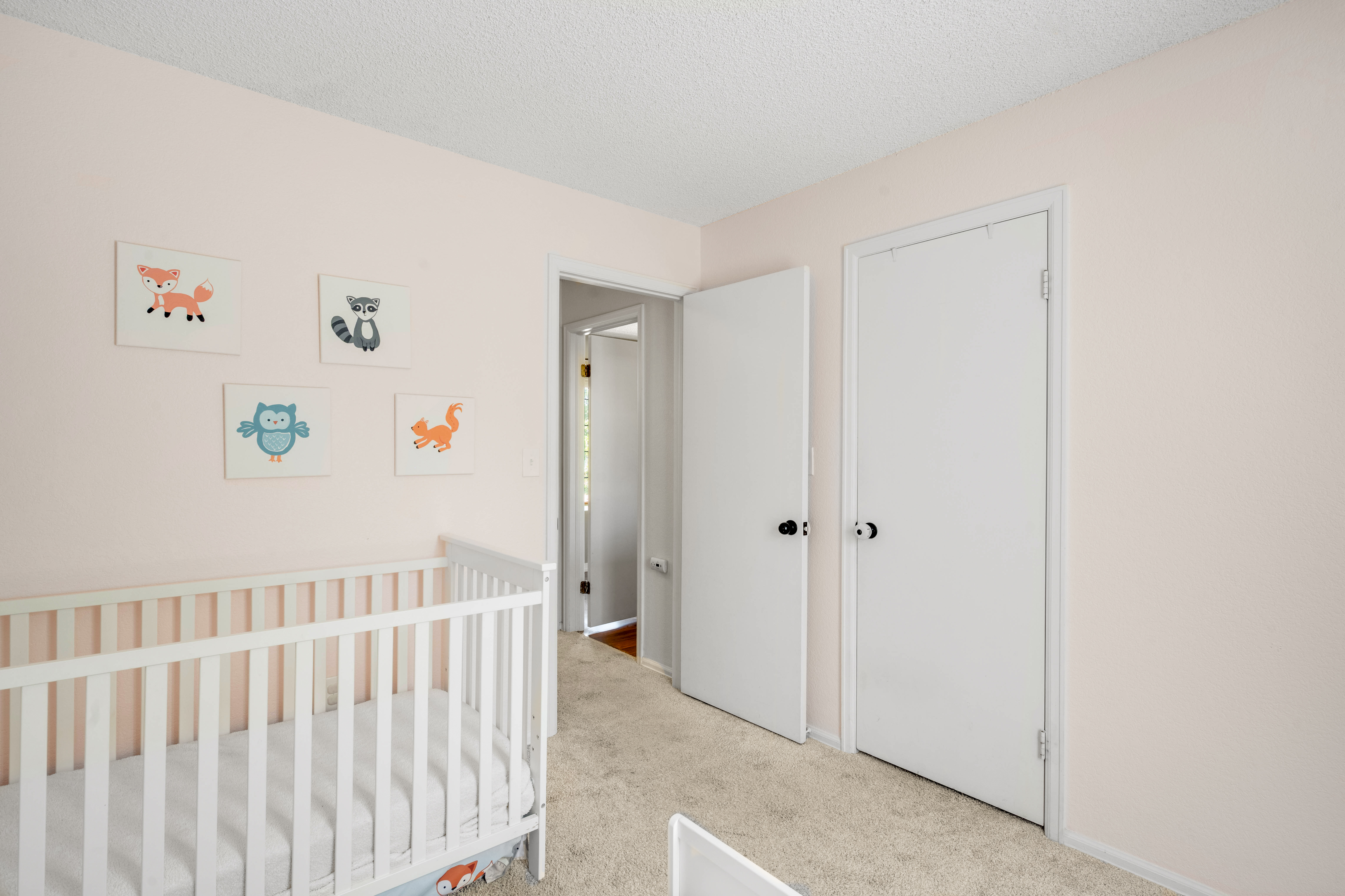  9352 Balsam Court, Highlands Ranch, CO, 80126 - 物件實景