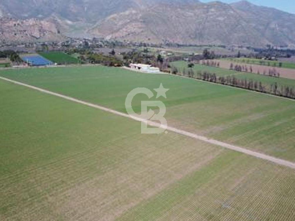 Catemu, Chile, ,Residential,For Sale,1971314