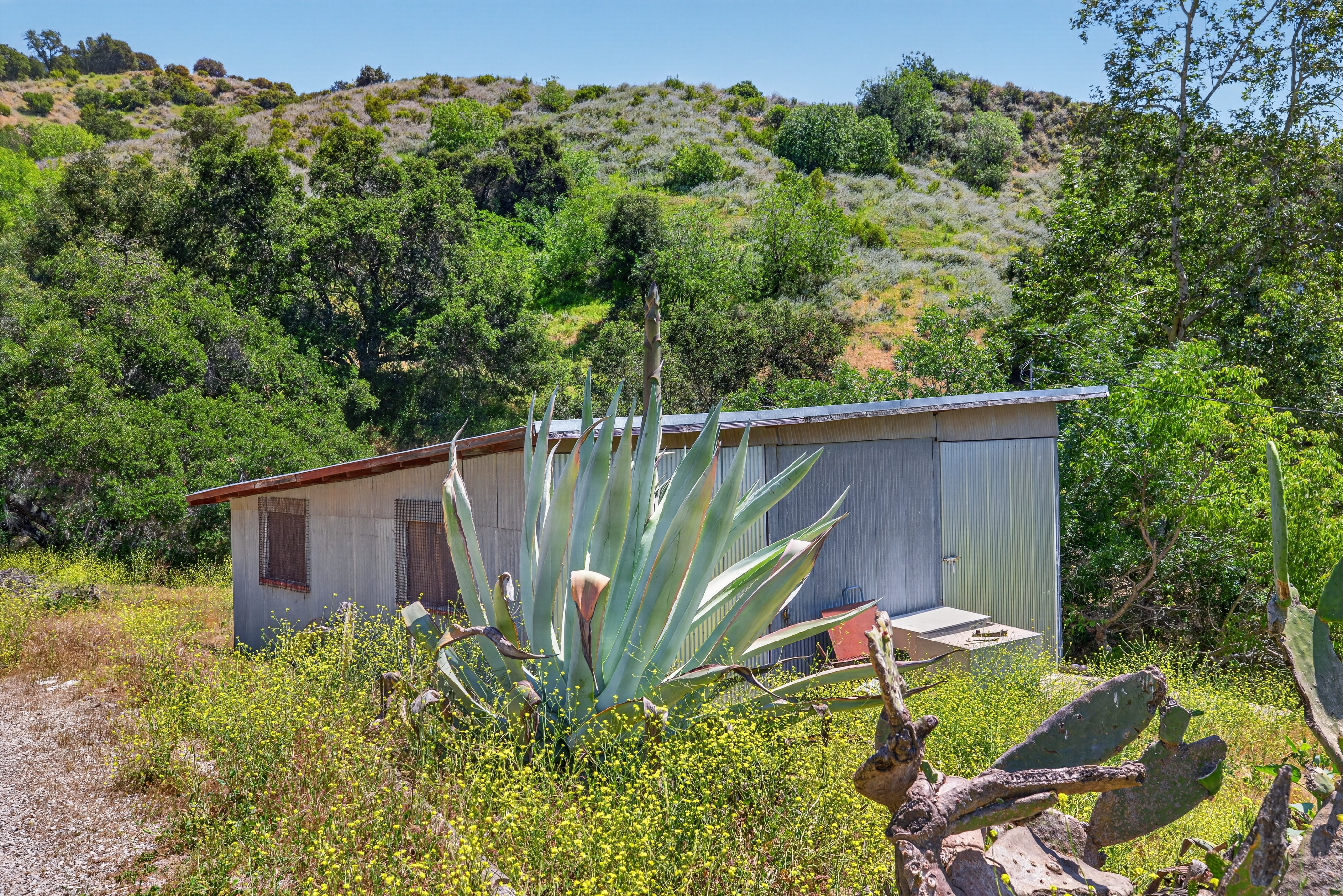  8416 Wheeler Canyon Road, Santa Paula, CA 93060 - 物件實景