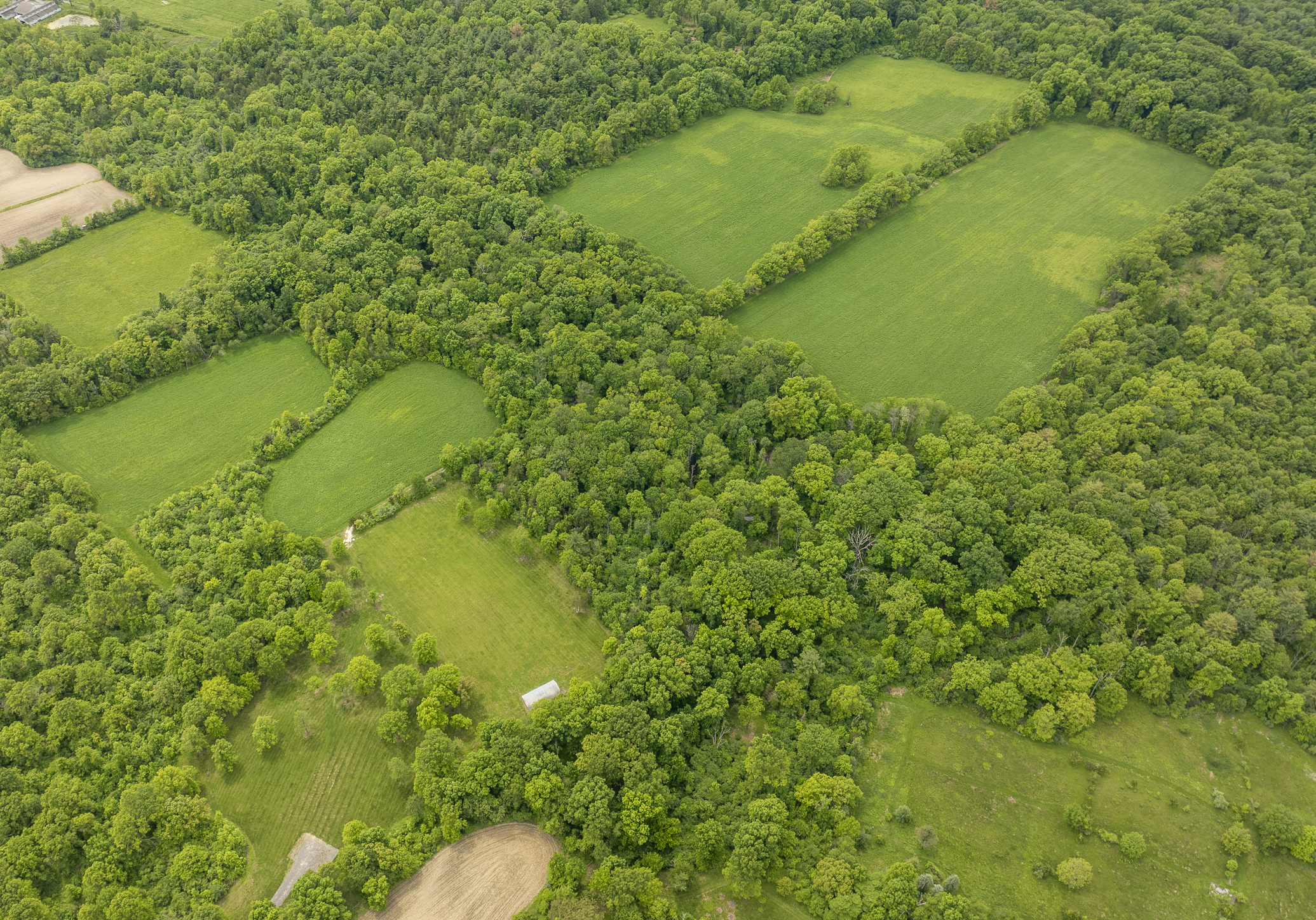  Extraordinary 34.5-Acre Hudson Valley Estate Site Near Rhinebeck - 物件實景