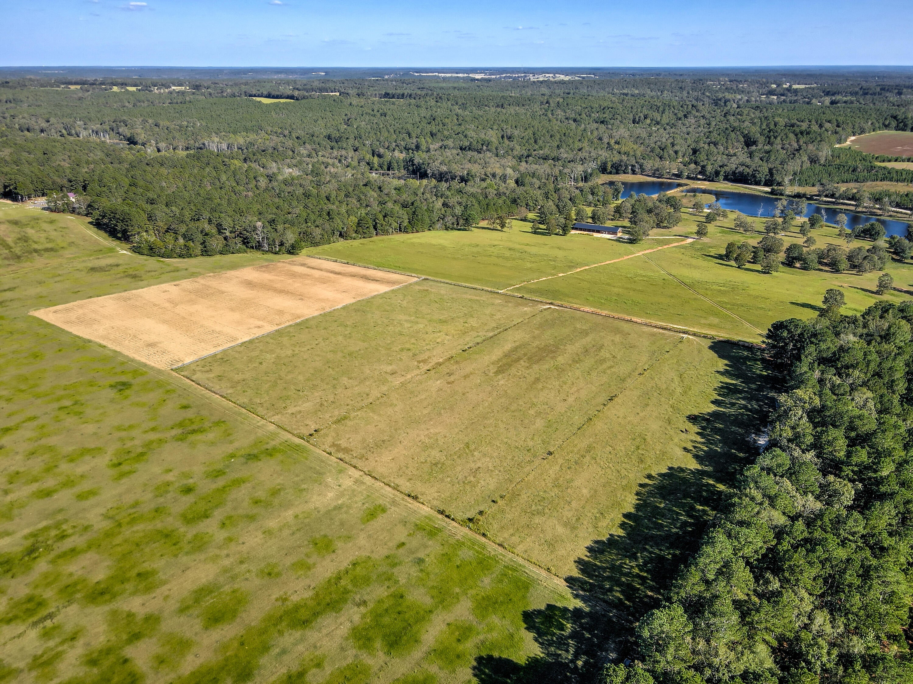 Wagener, South Carolina, 29164, United States, ,Land,For Sale,1969040