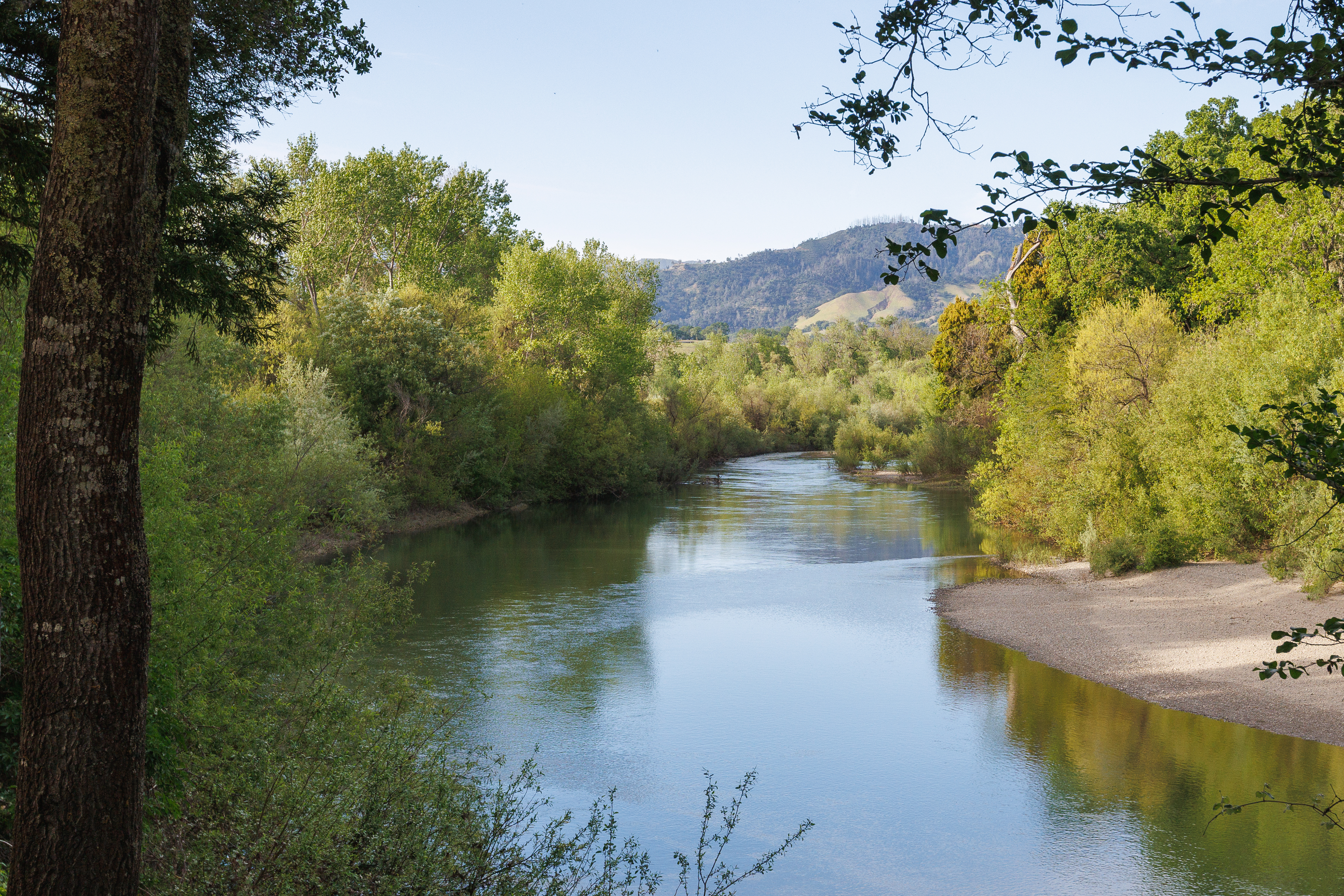  6225 West Soda Rock Lane, Healdsburg, CA 95448 - 物件實景