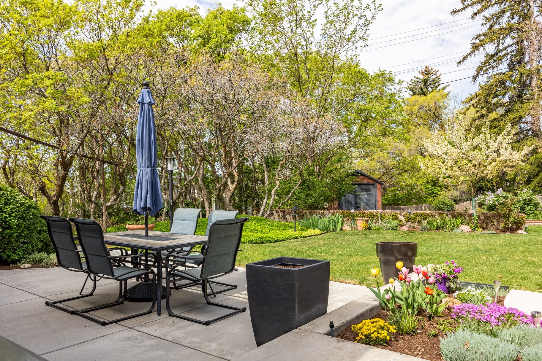  Stunning Remodeled Rambler - 物件實景