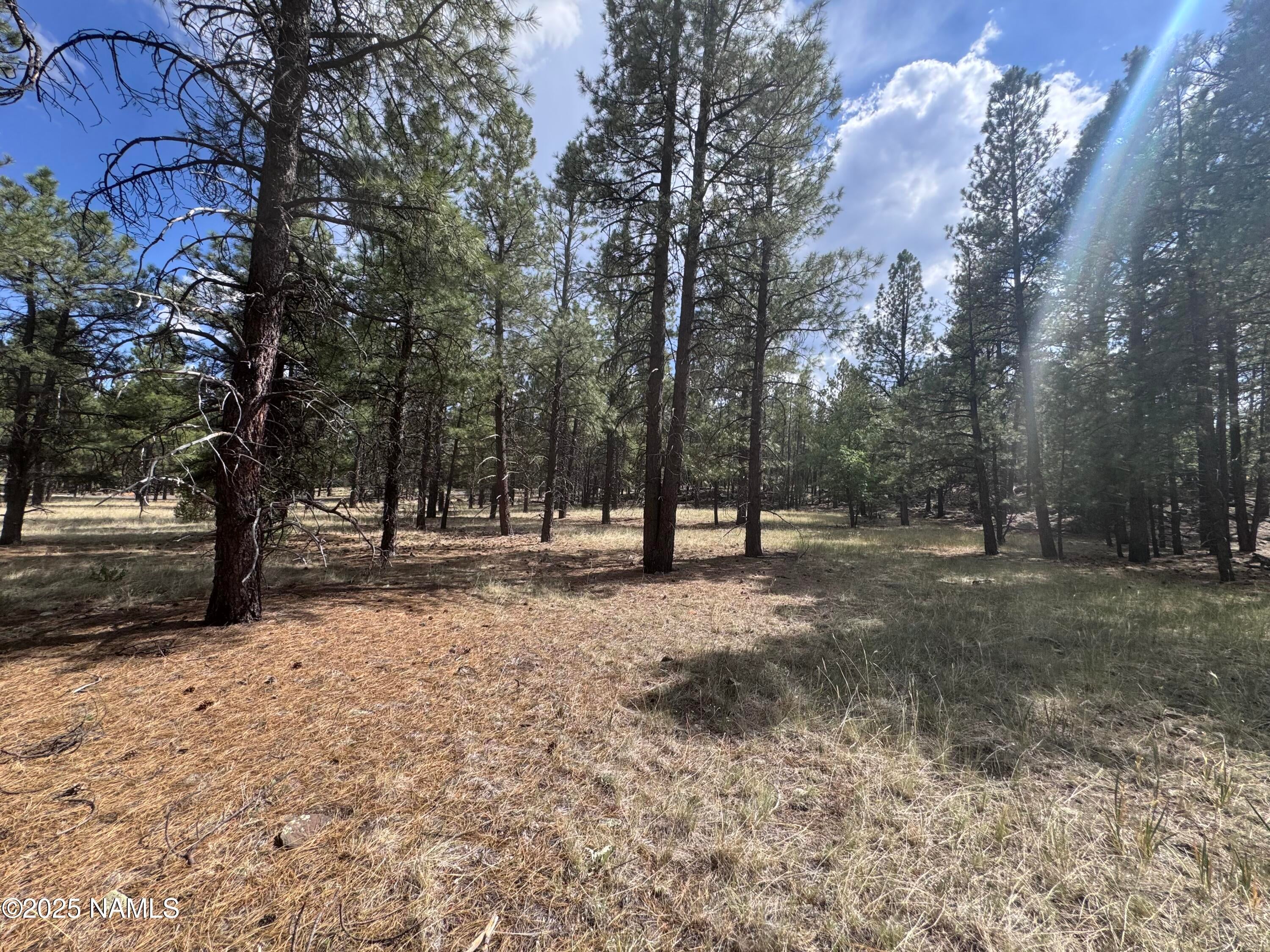 Flagstaff, Arizona, 86001, United States, ,Land,For Sale,1948051