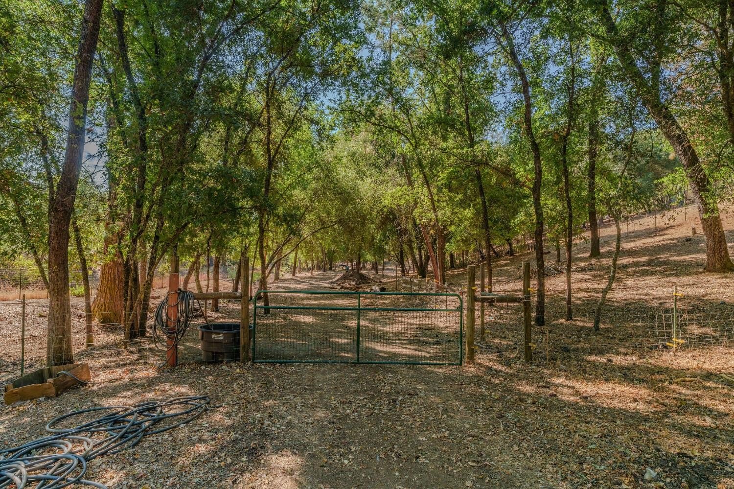 San Andreas, California, 95249, United States, 2 Bedrooms Bedrooms, ,2 BathroomsBathrooms,Residential,For Sale,1980033