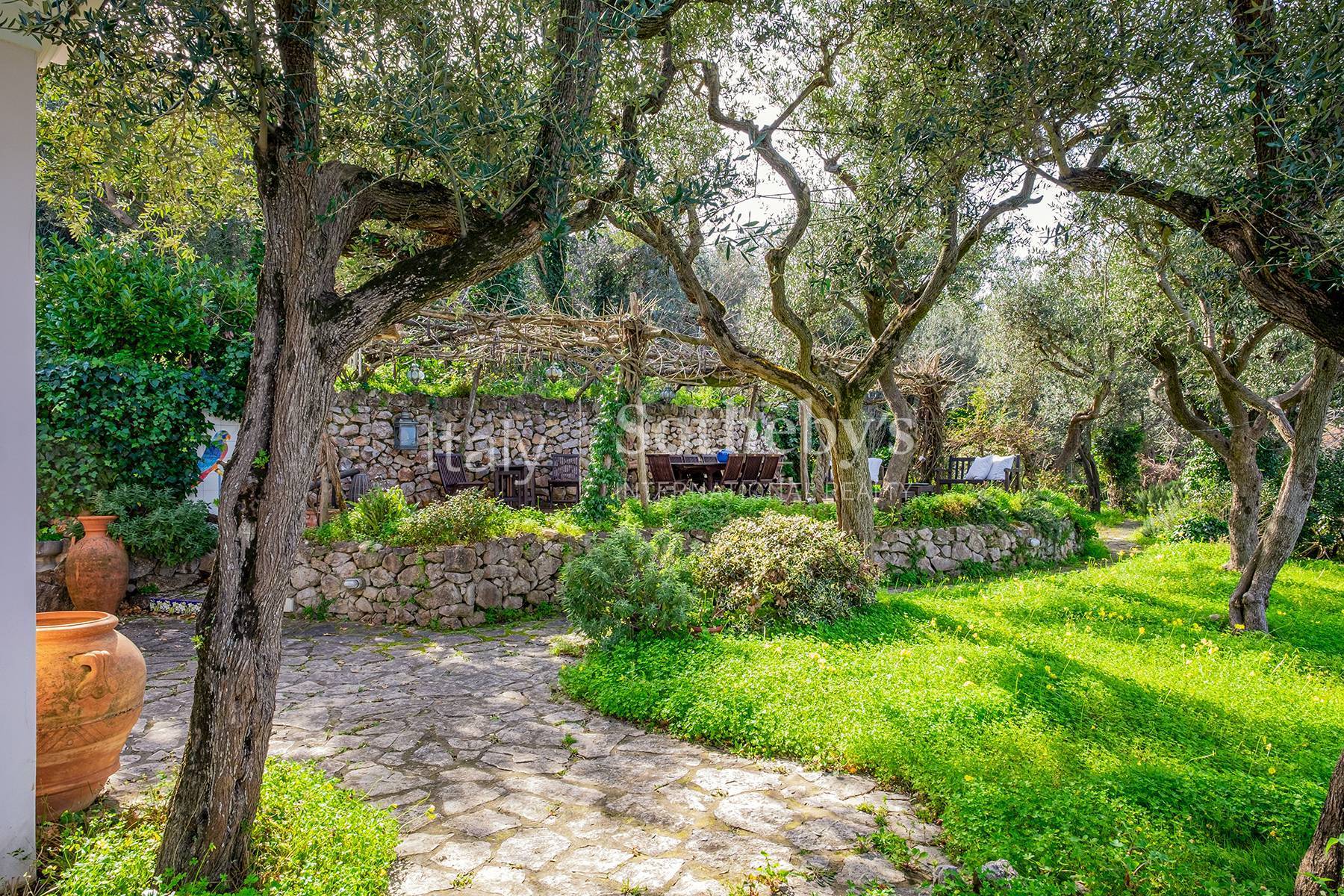  Magnificent villa overlooking the Grotta Azzurra - 物件實景