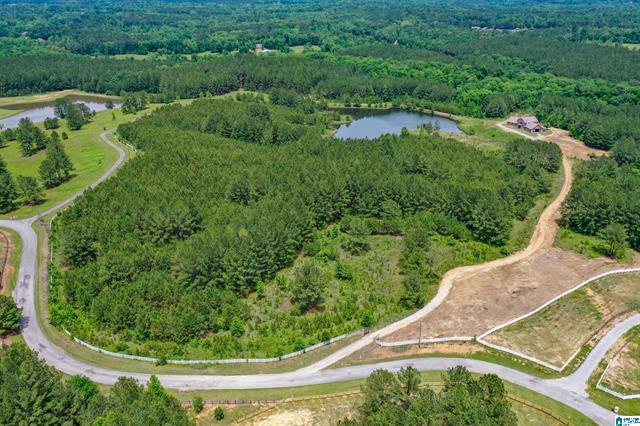 Columbiana, Alabama, 35051, United States, 3 Bedrooms Bedrooms, ,2 BathroomsBathrooms,Residential,For Sale,1975847