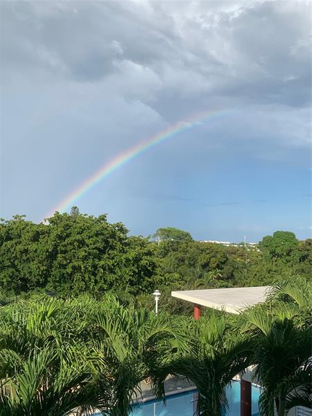 Wilton Manors, Florida, 33305, United States, 2 Bedrooms Bedrooms, ,2 BathroomsBathrooms,Residential,For Sale,2001812