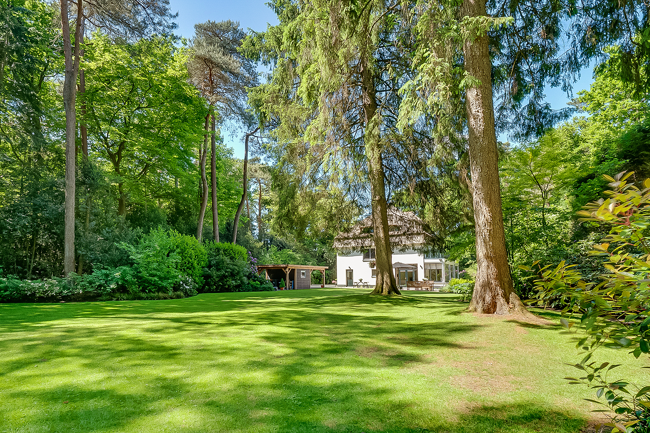  Luxury Detached Villa with Expansive Garden Estate in the Heart of Bosch en Duin - 物件實景