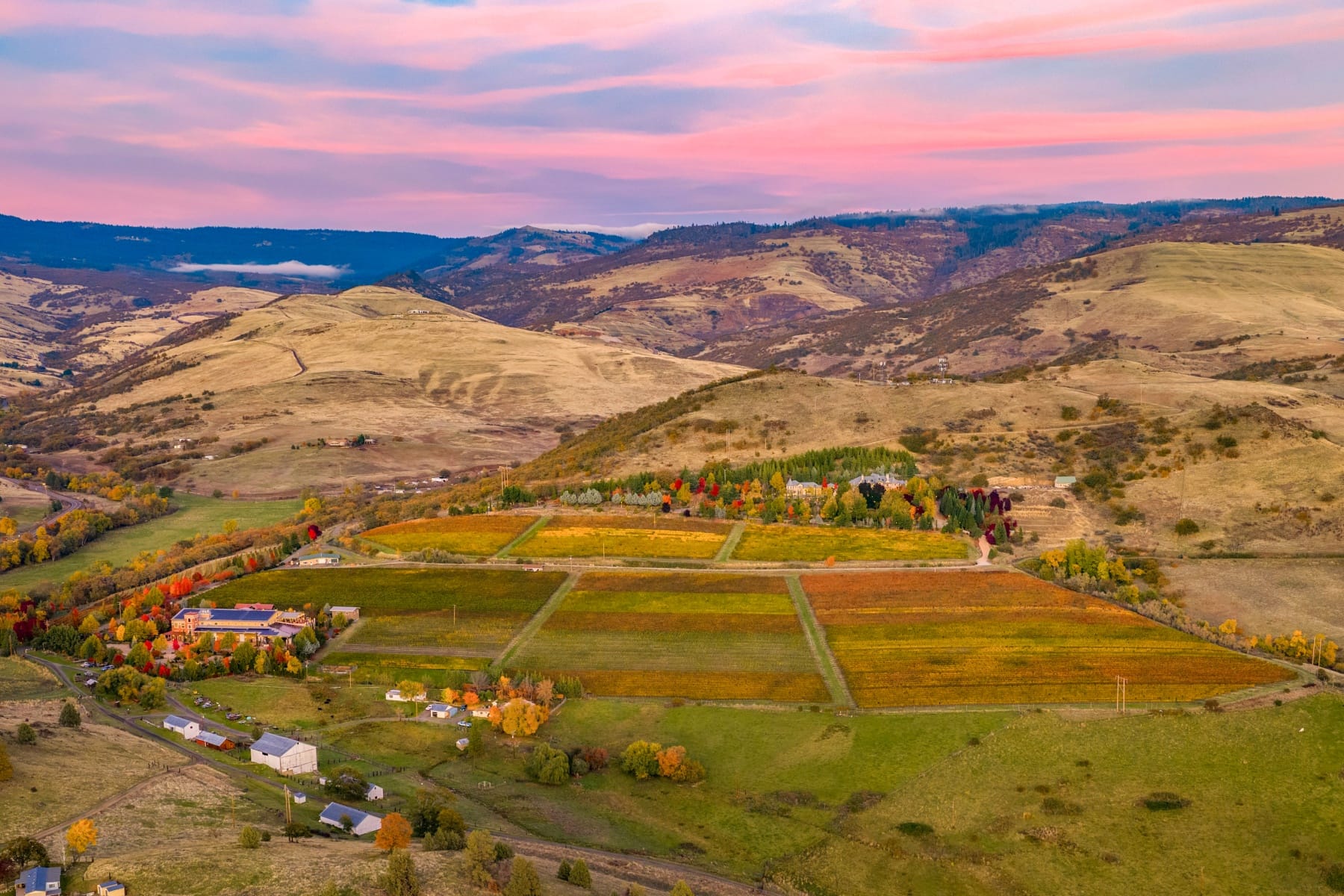  100 Belle Fiore Lane Ashland, OR 97520 - 物件實景
