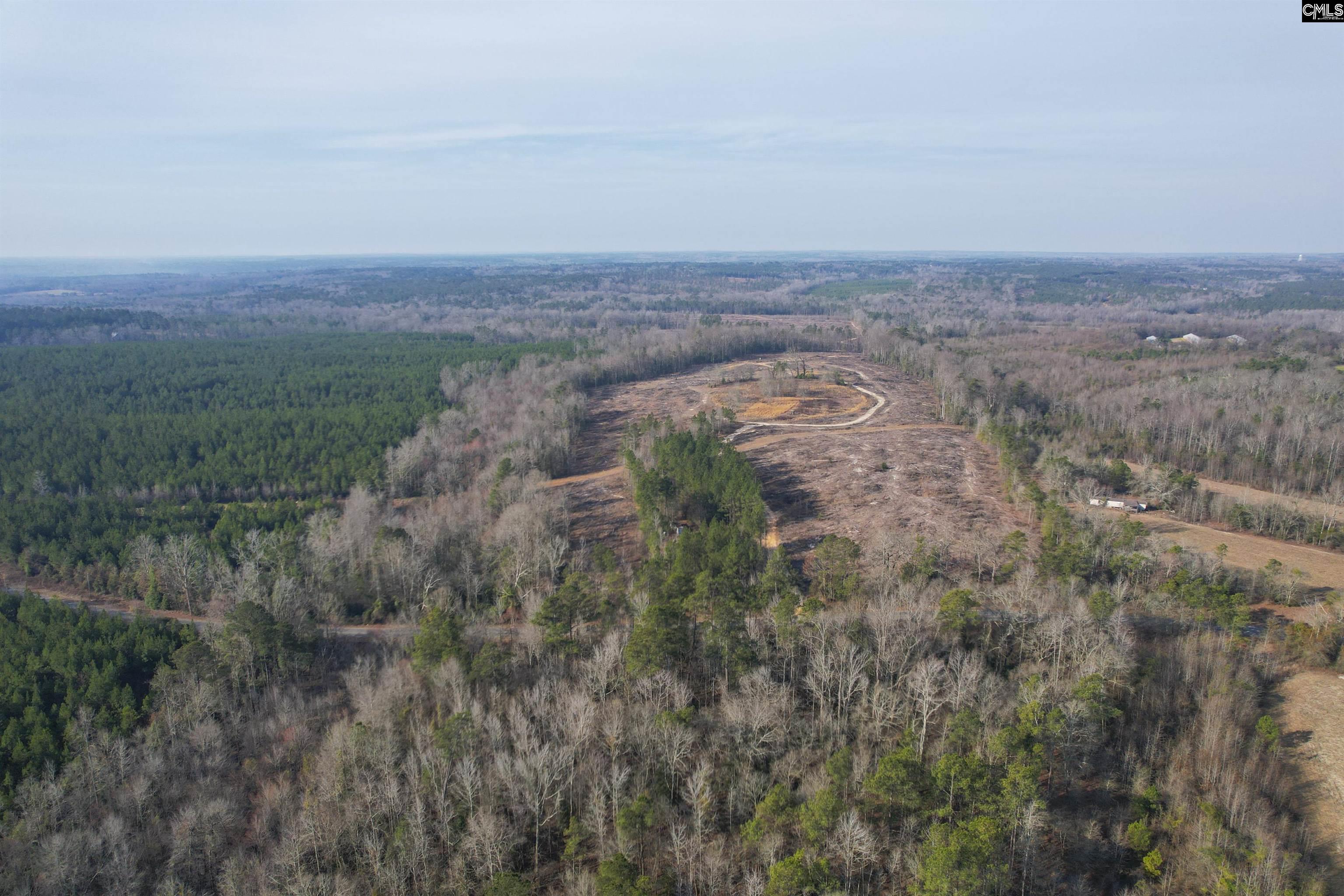 703 Neds Creek Road, Kershaw, South Carolina, 29067, United States, ,Land,For Sale,703 Neds Creek Road,1669372