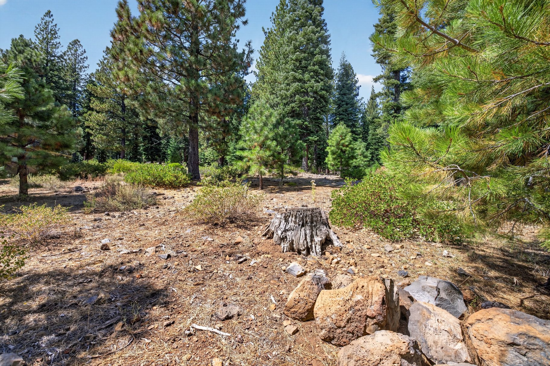 Half Acre, Privacy, and a Central Truckee Address - 物件實景