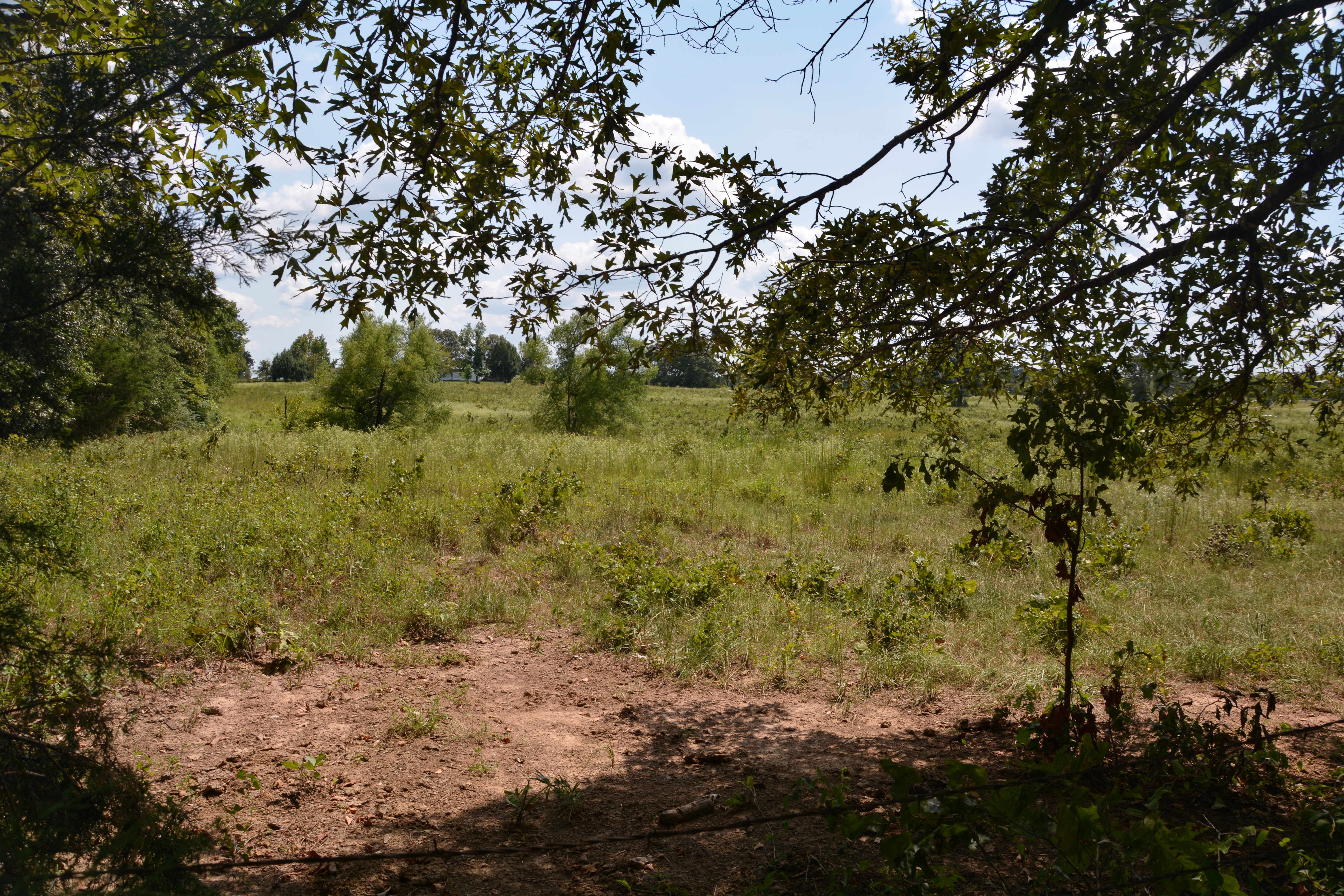 Grand Saline, Texas, 75140, United States, ,Residential,For Sale,1938420