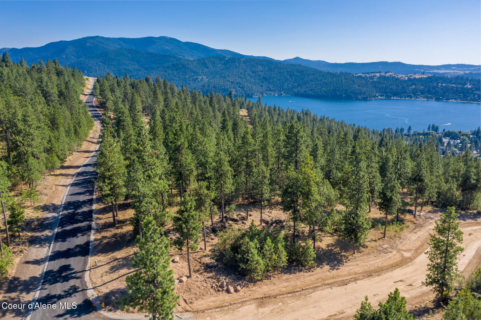 Liberty Lake, Washington, 99019, United States, ,Land,For Sale,1974719
