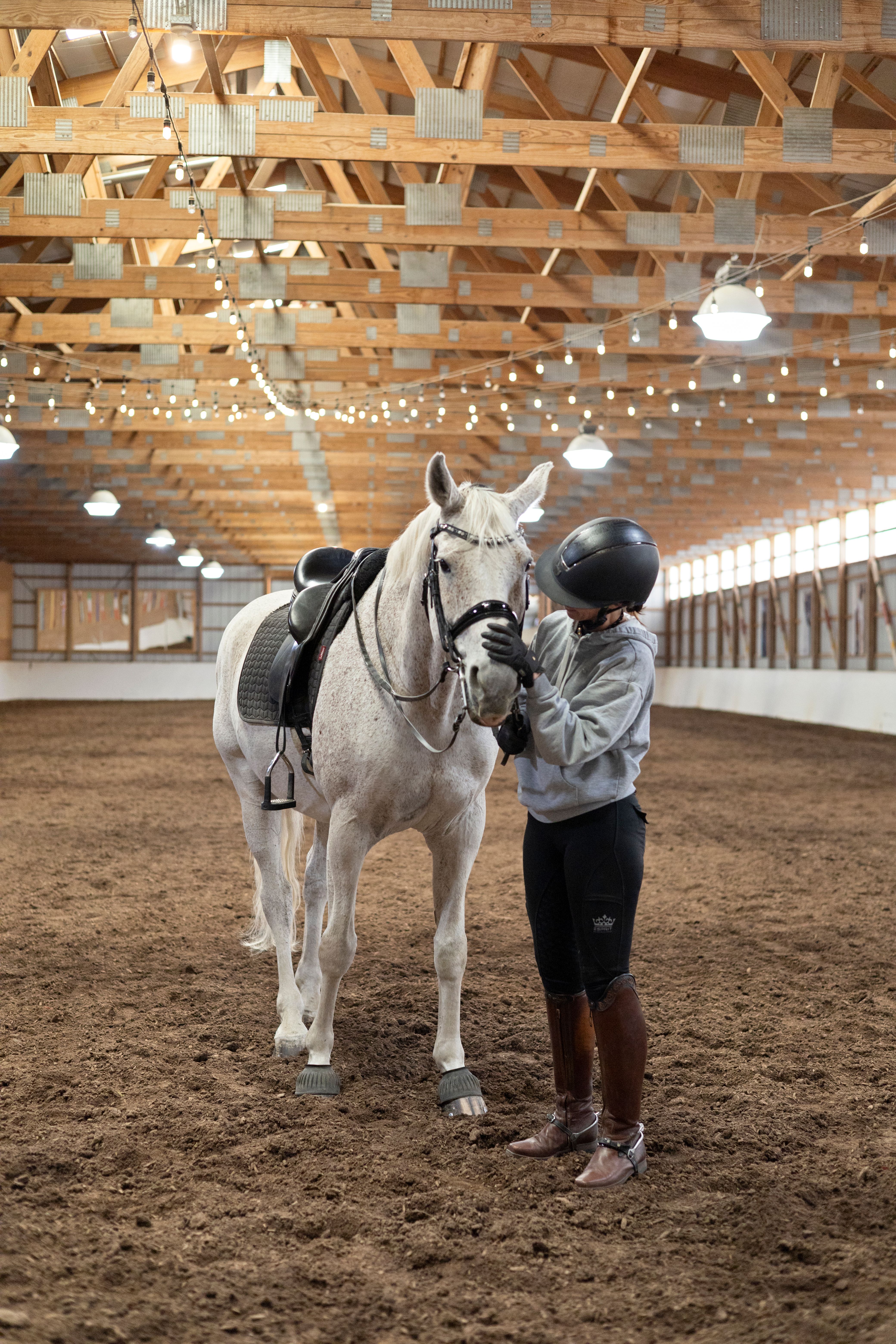  Equestrian Desert Contemporary Estate with Stable & Indoor Arena - 物件實景