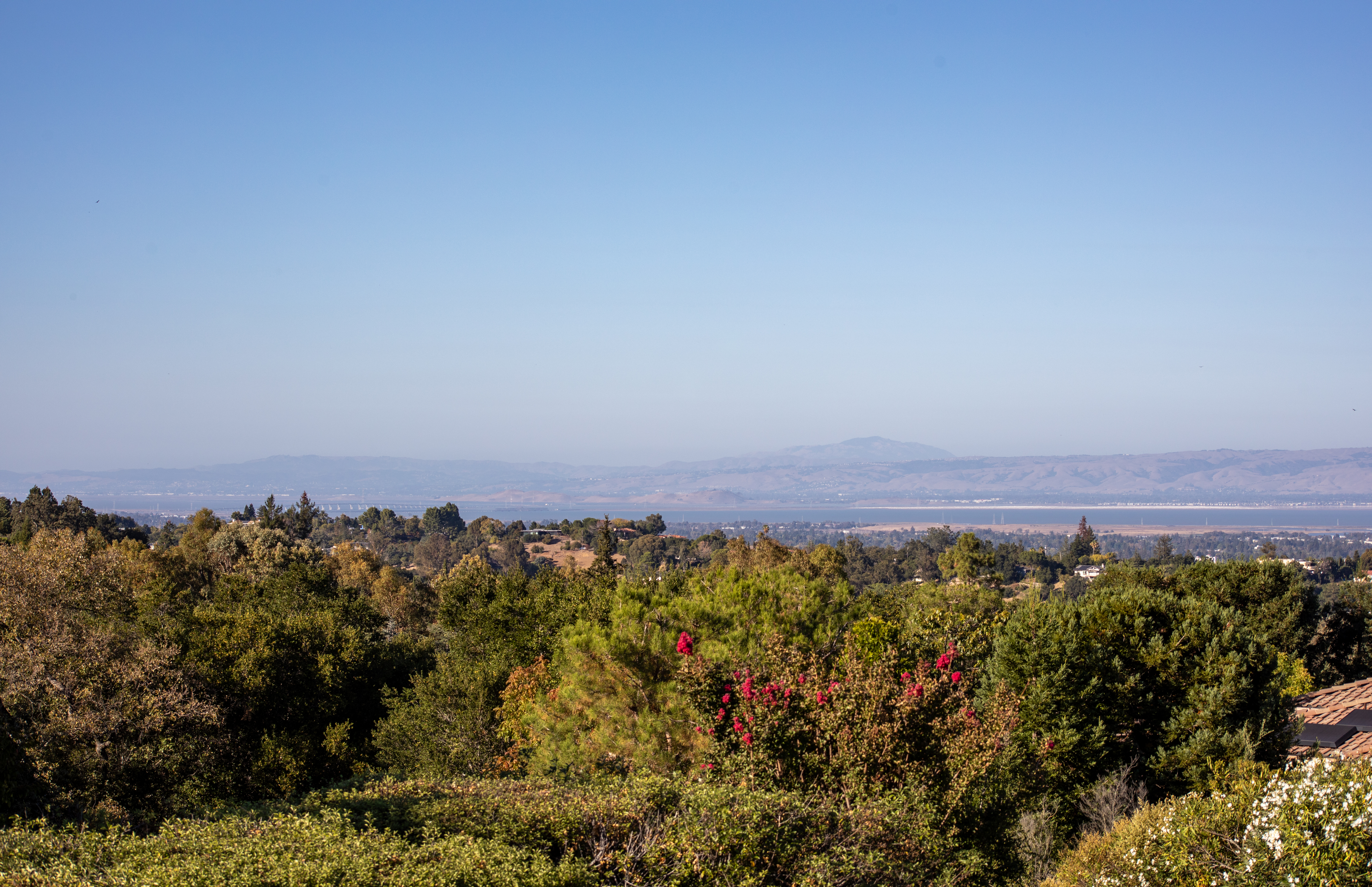  A Private Los Altos Hills Retreat, Designed for Living - 物件實景