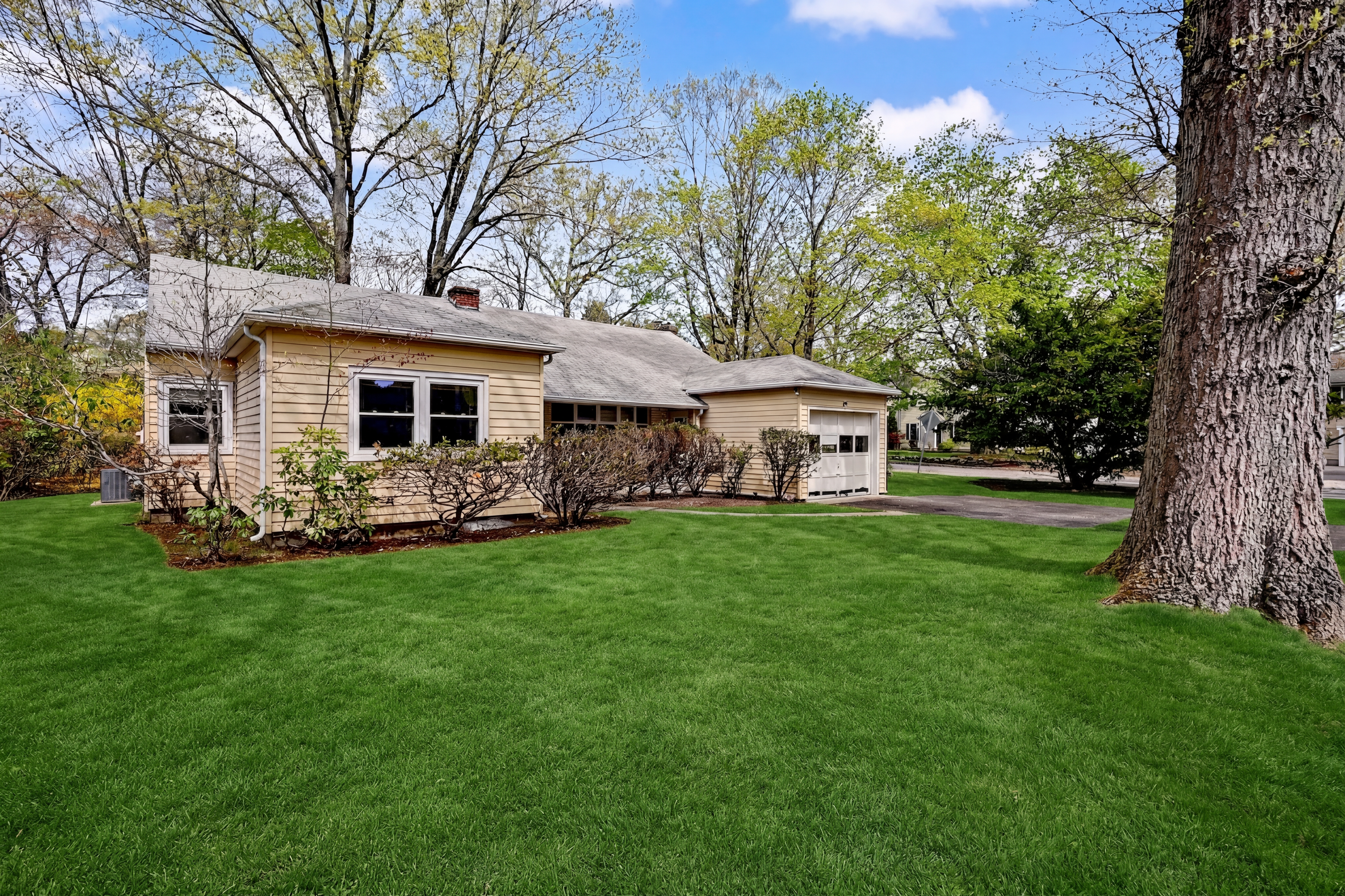  54 Merriman Road - 物件實景