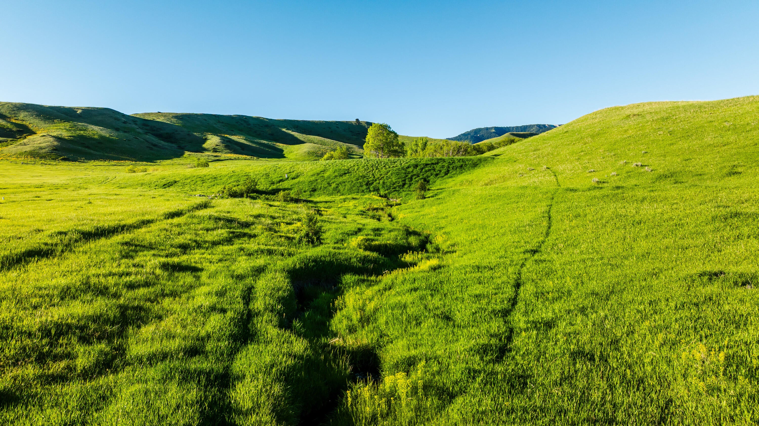 Big Horn, Wyoming, 82833, United States, ,Land,For Sale,2011311