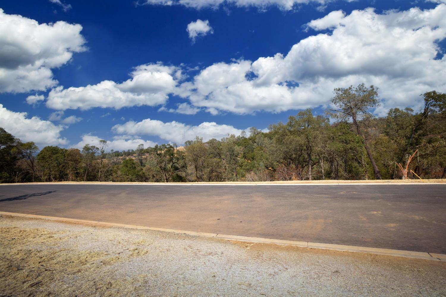 4135 Raphael Drive, El Dorado Hills, California, 95762, United States, ,Land,For Sale,4135 Raphael Drive,1642699