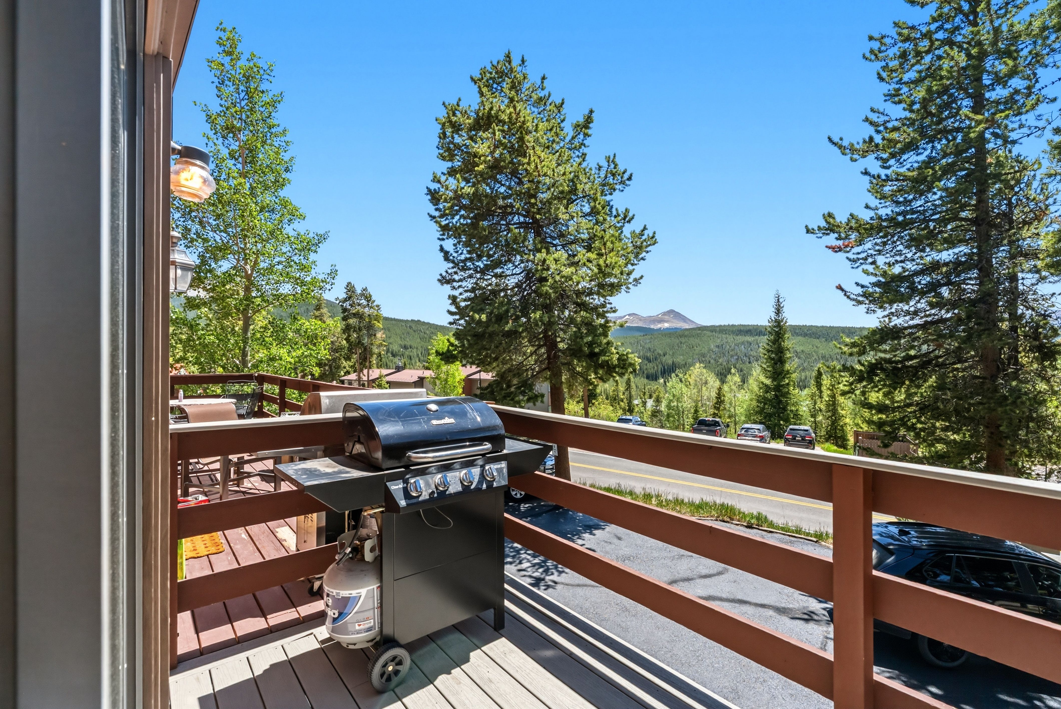  1233 Baldy Road, Breckenridge, CO 80424 - 物件實景