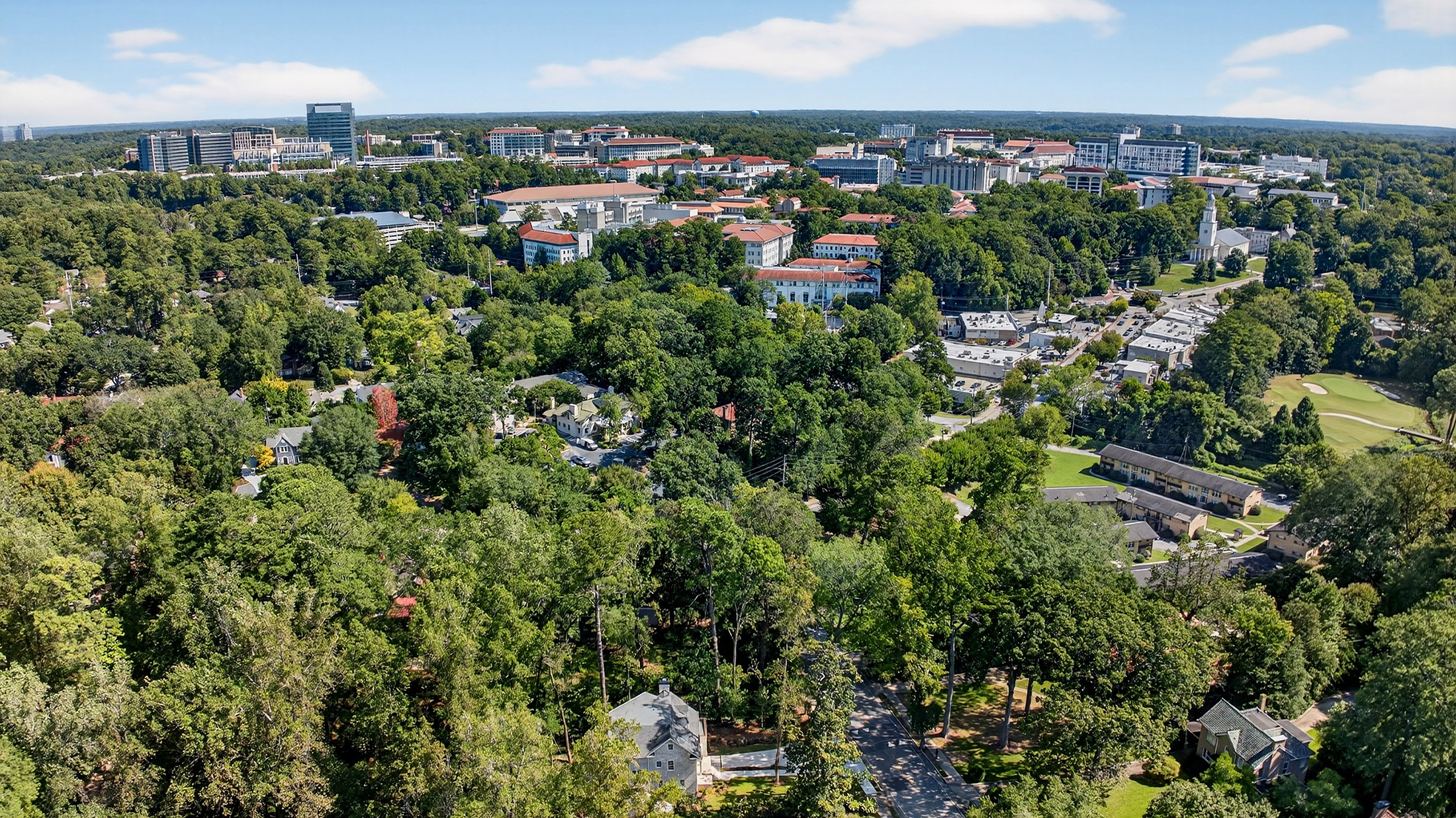  One of a Kind New Construction Home in Prestigious Druid Hills - 物件實景