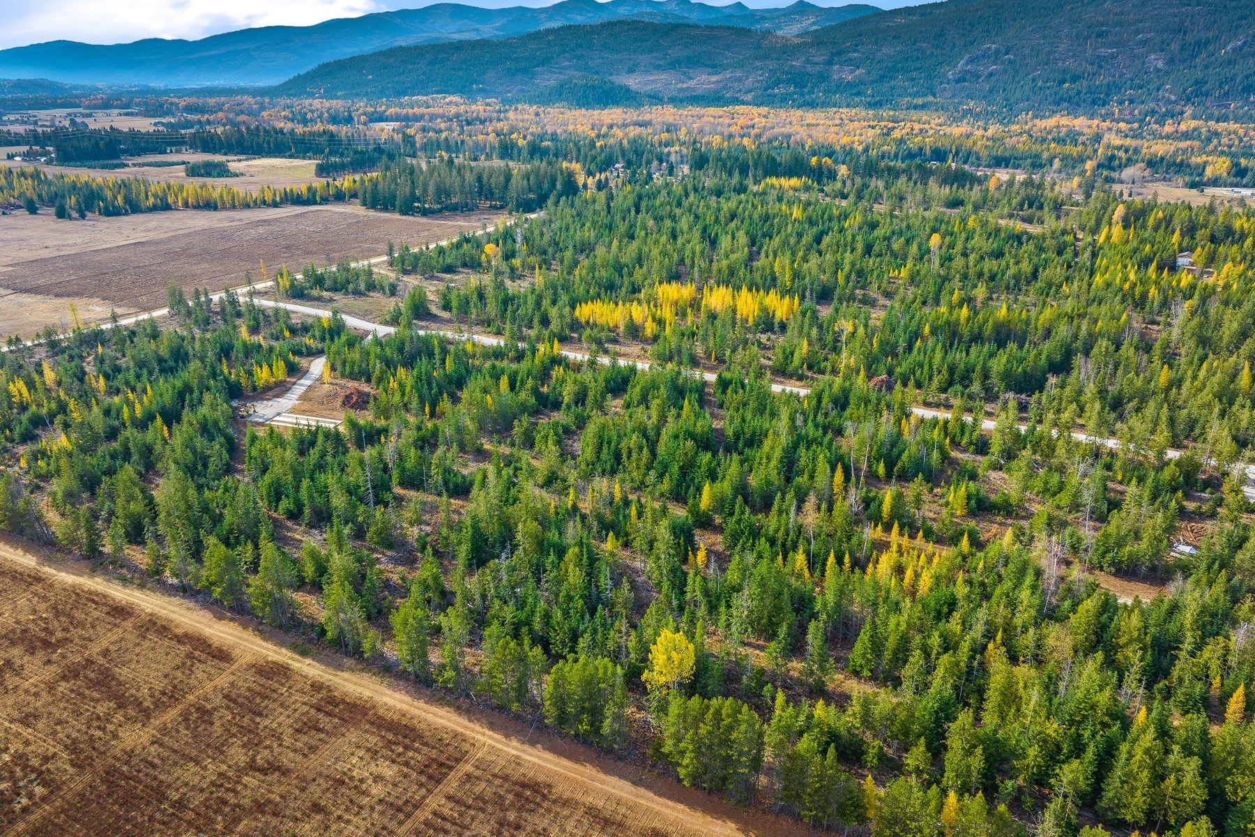  Noble Lane lot 2 Phase 1 - 物件實景