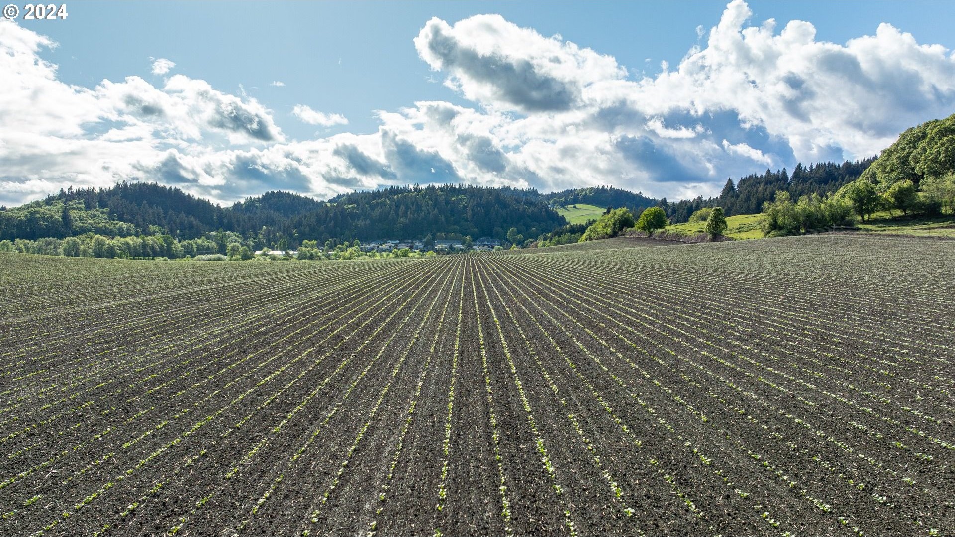 0 SW YOUNGBERG HILL RD, McMinnville, Oregon, 97128, United States, ,Land,For Sale,0 SW YOUNGBERG HILL RD,1523694