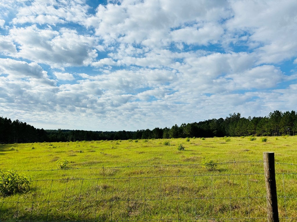 Abbeville, Georgia, 31001, United States, ,Land,For Sale,1975130
