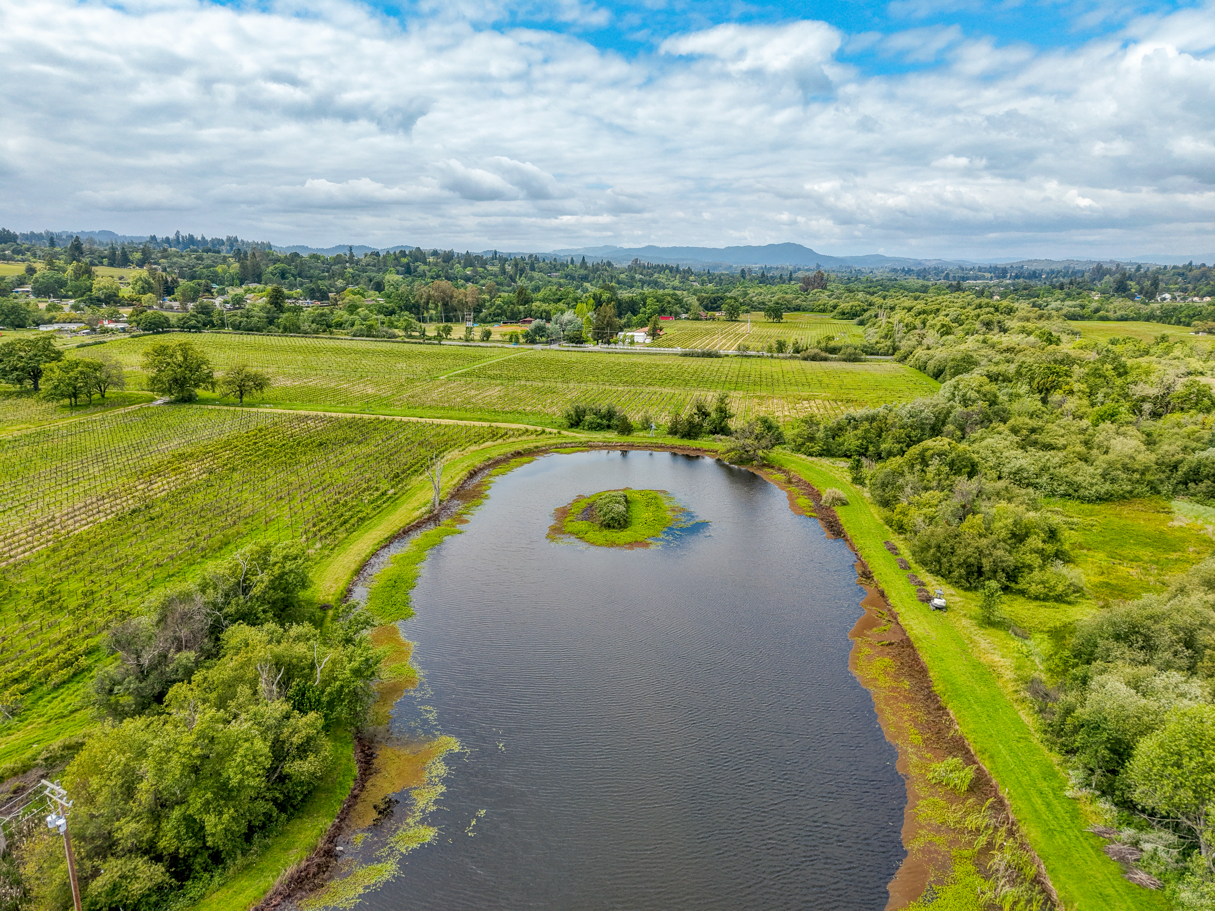  9700 Mill Station Road, Sebastopol, CA 95472 - 物件實景