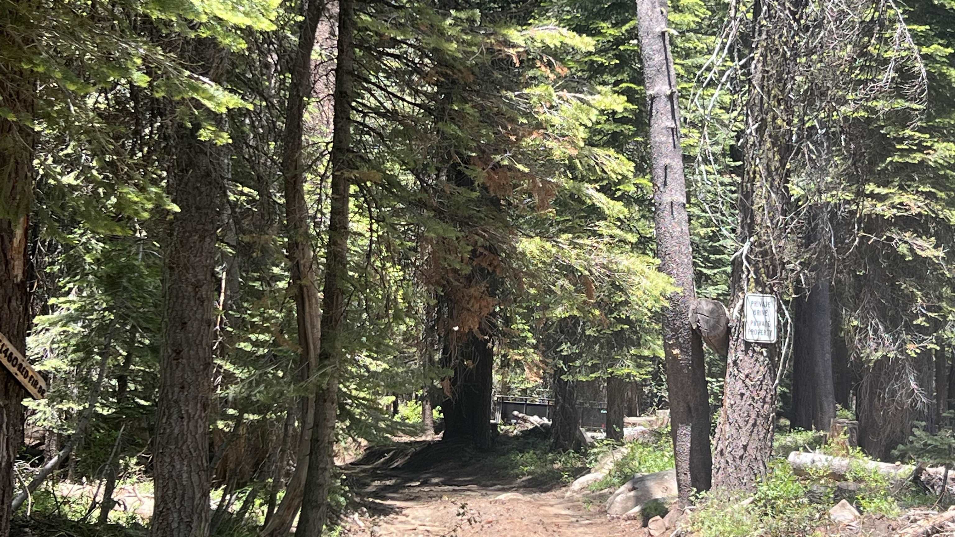 Soda Springs, California, 95728, United States, ,Land,For Sale,1998157