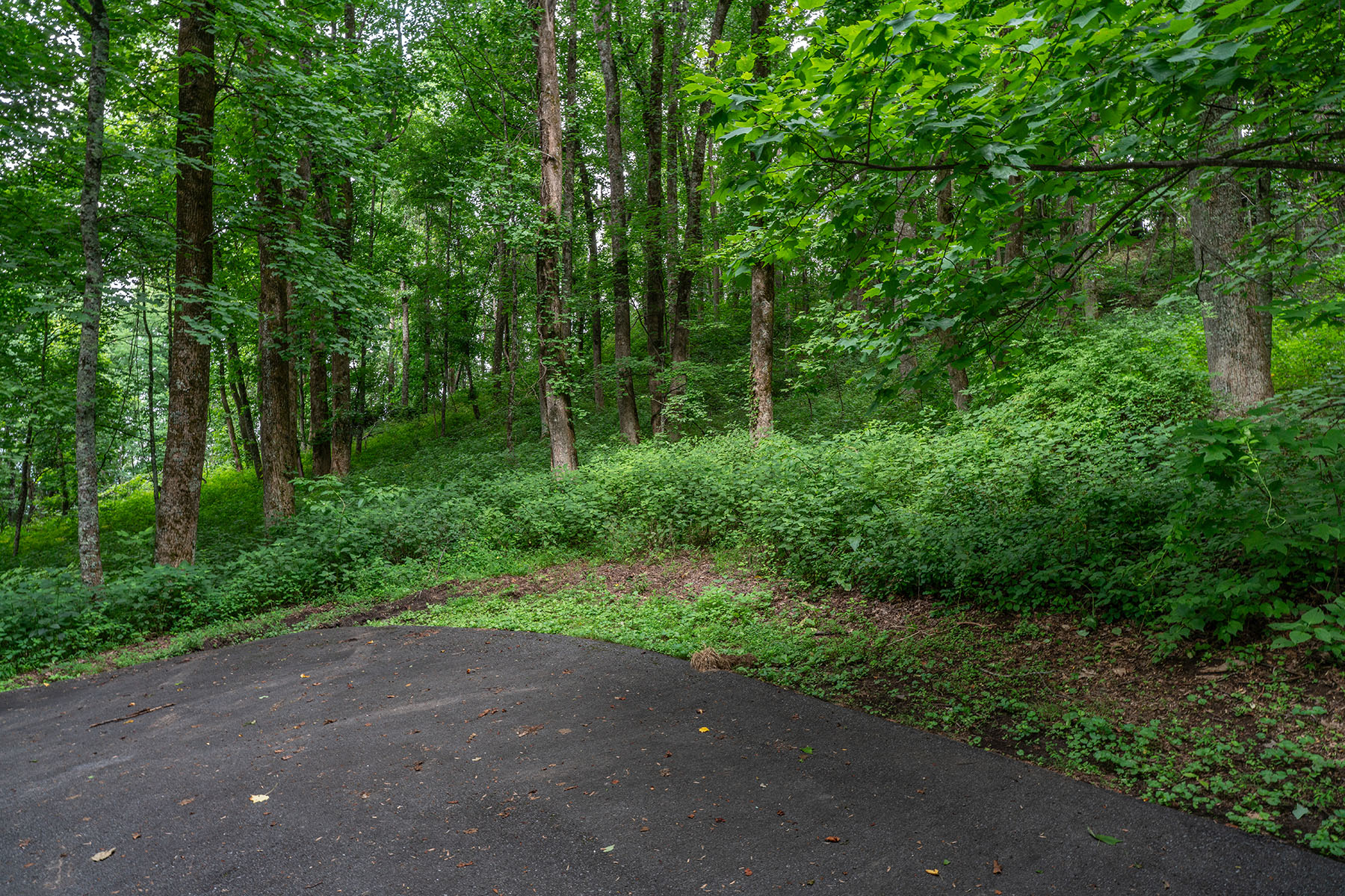  THE ORCHARDS OF MAYVIEW - BLOWING ROCK - 物件實景
