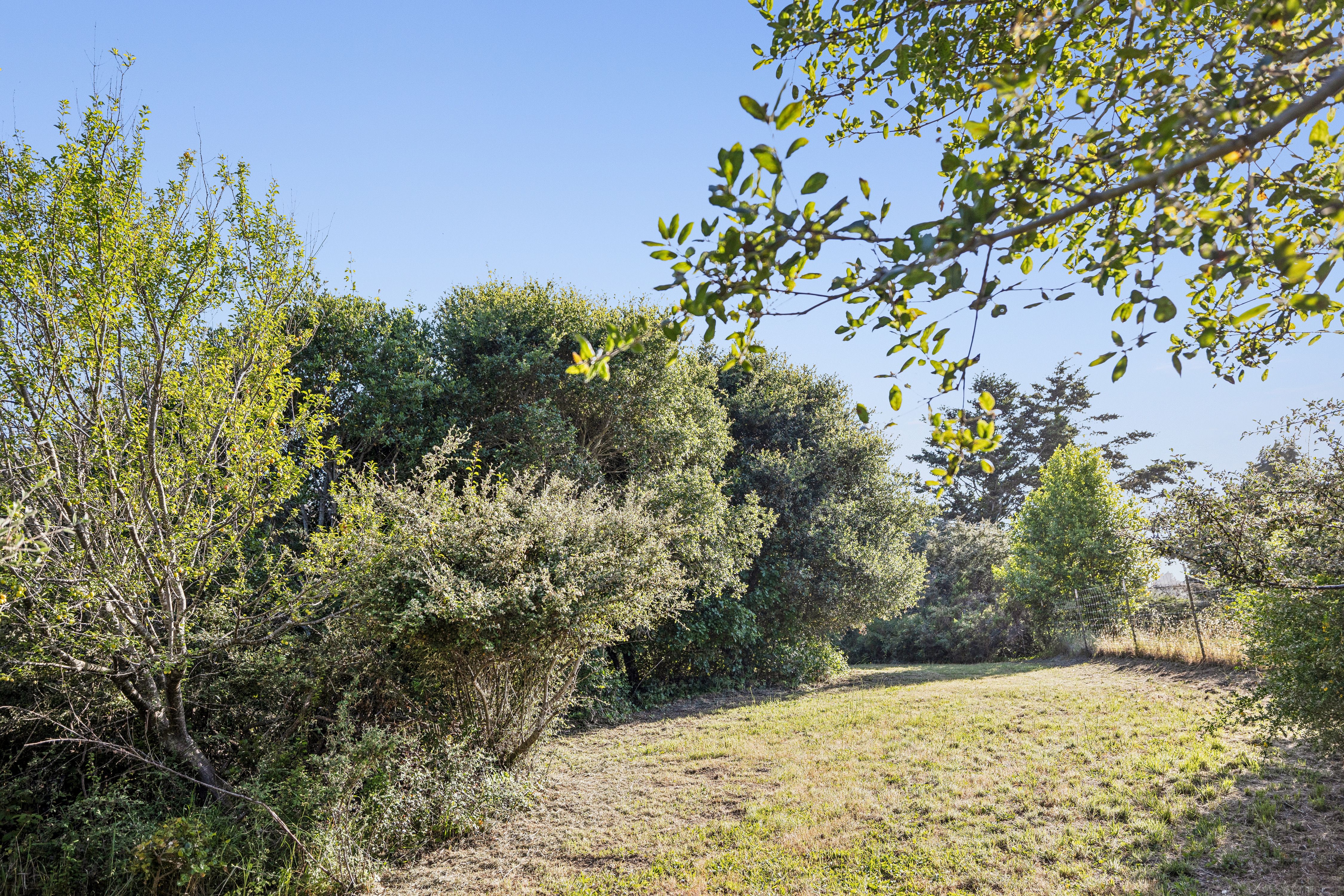  Bolinas Legend – Oldest Residence on Coastal Marin - 物件實景