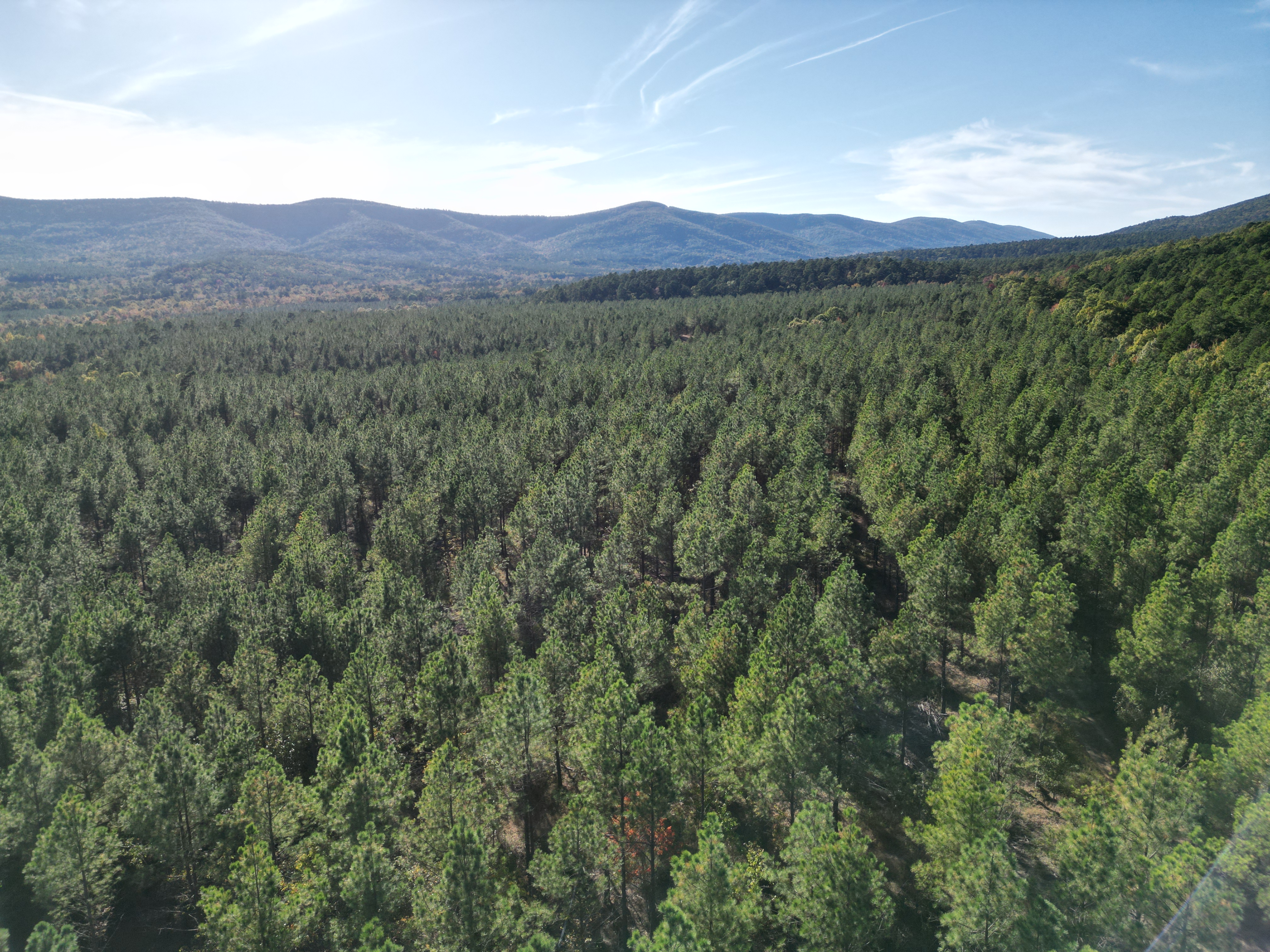 Mena, Arkansas, 71953, United States, ,Land,For Sale,1973758