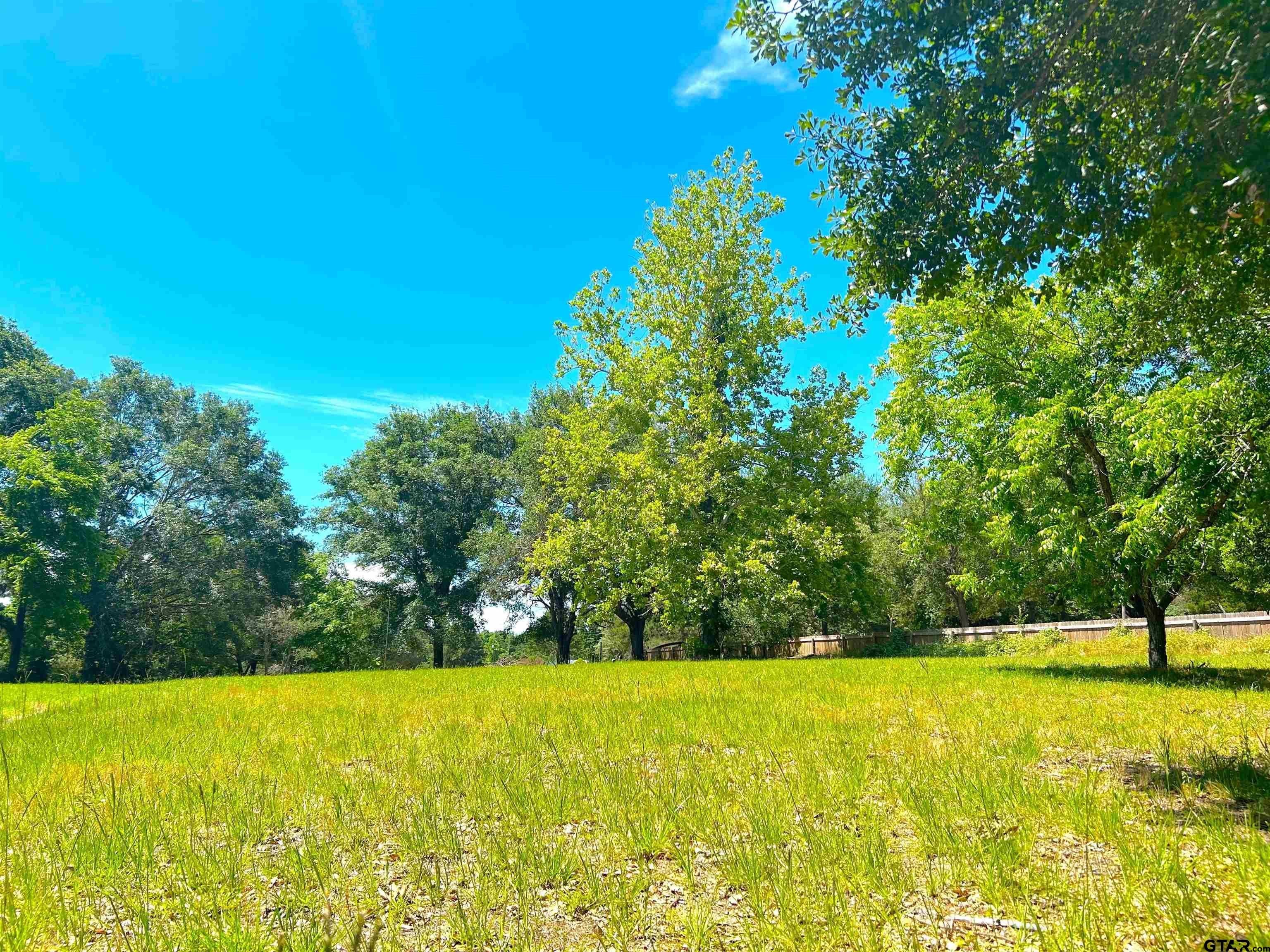 Frankston, Texas, 75763, United States, 3 Bedrooms Bedrooms, ,2 BathroomsBathrooms,Residential,For Sale,1924553