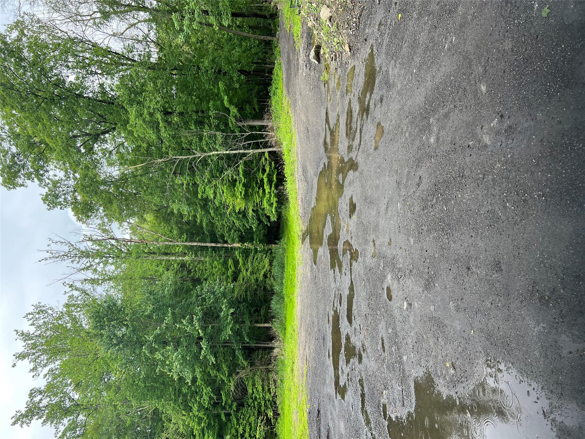 Cortlandt Manor, New York, 10567, United States, ,Land,For Sale,1970524