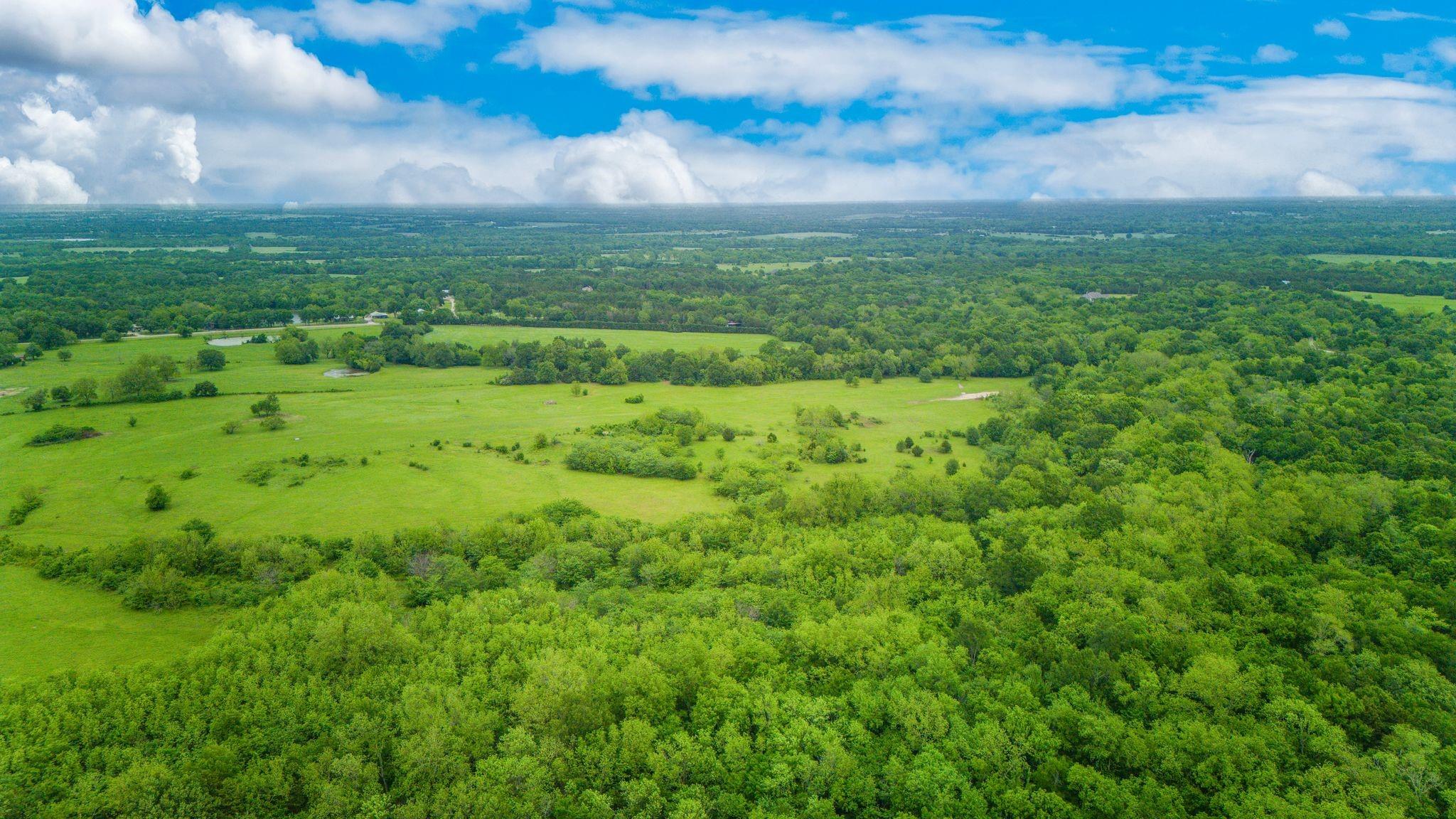 Celeste, Texas, 75423, United States, ,Land,For Sale,1977451