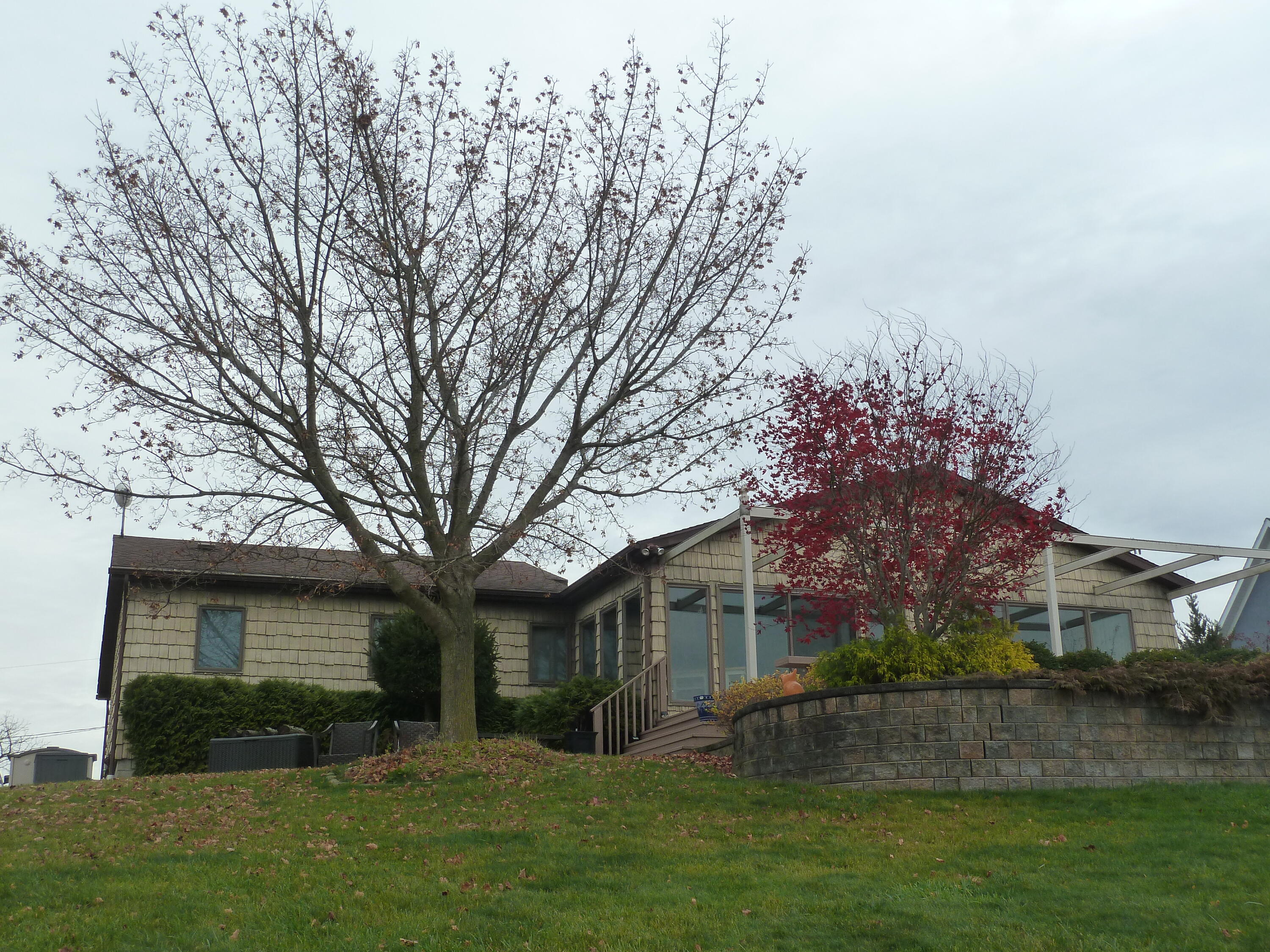 Camden, Michigan, 49232, United States, 5 Bedrooms Bedrooms, ,3 BathroomsBathrooms,Residential,For Sale,1887942