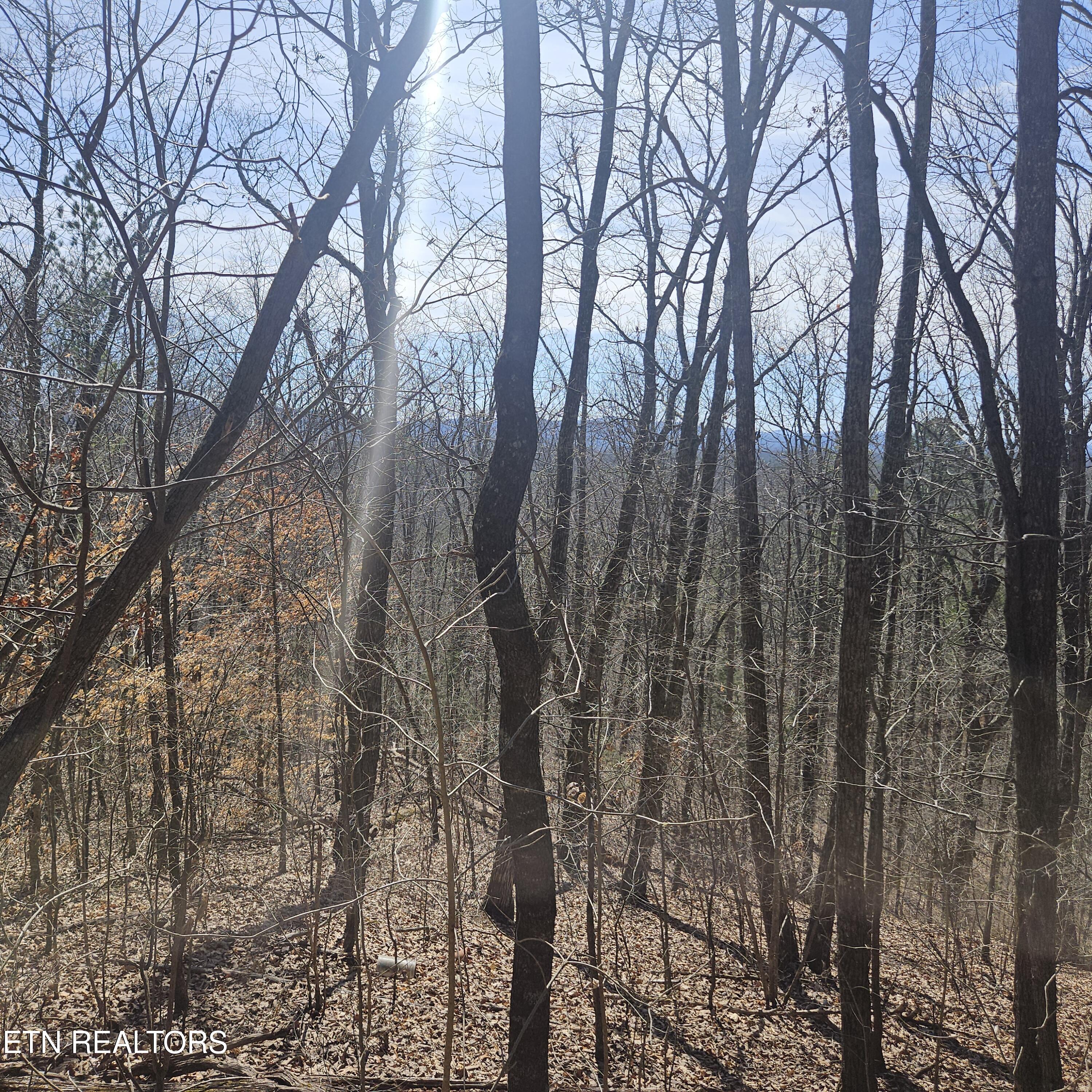 Tellico Plains, Tennessee, 37385, United States, ,Residential,For Sale,1922105